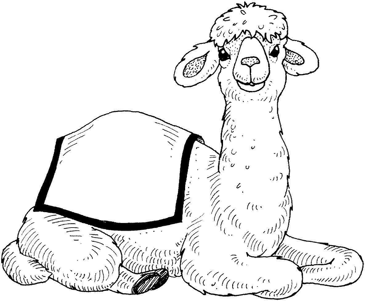 free-camel-coloring-pages