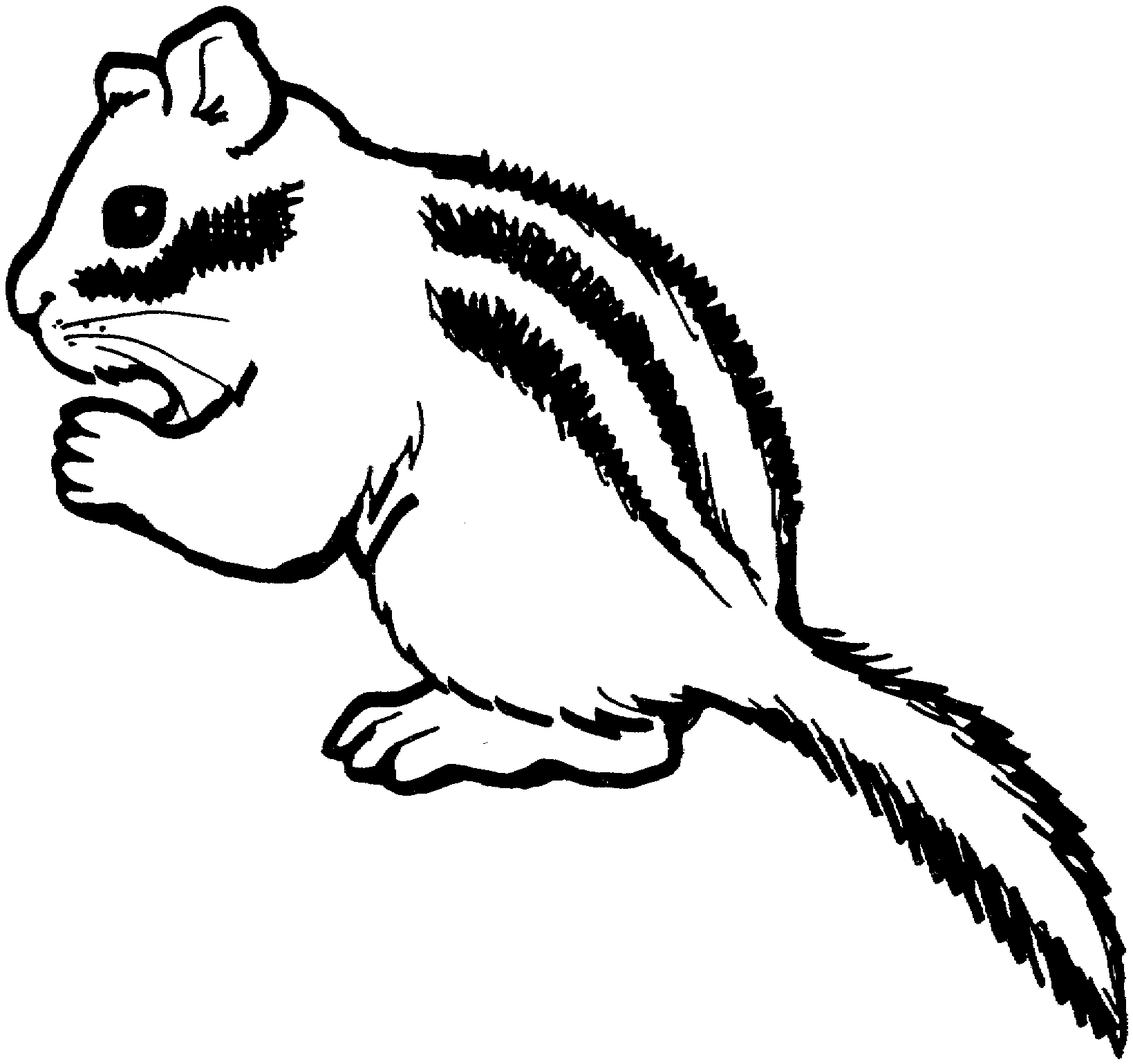 Free Chipmunk Coloring Pages