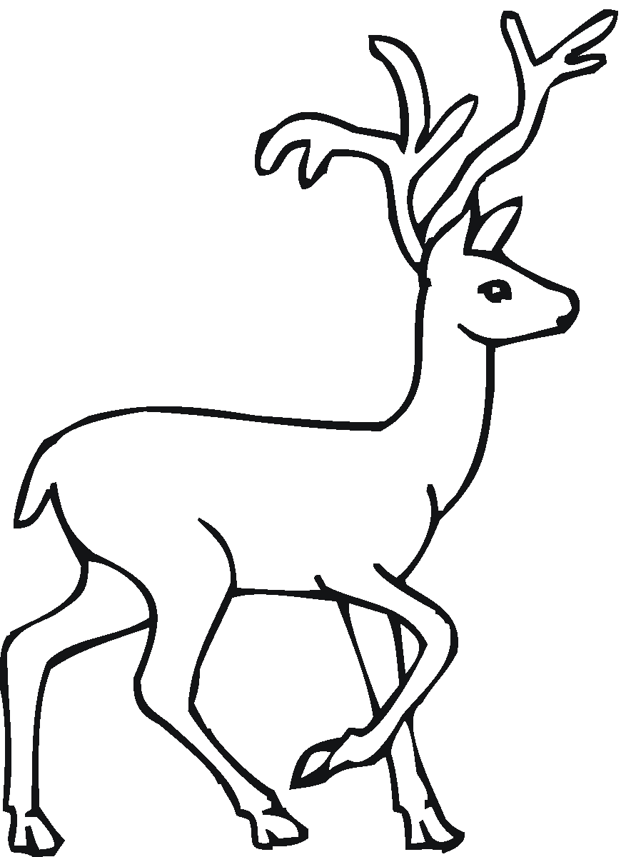 Free Deer Coloring Pages