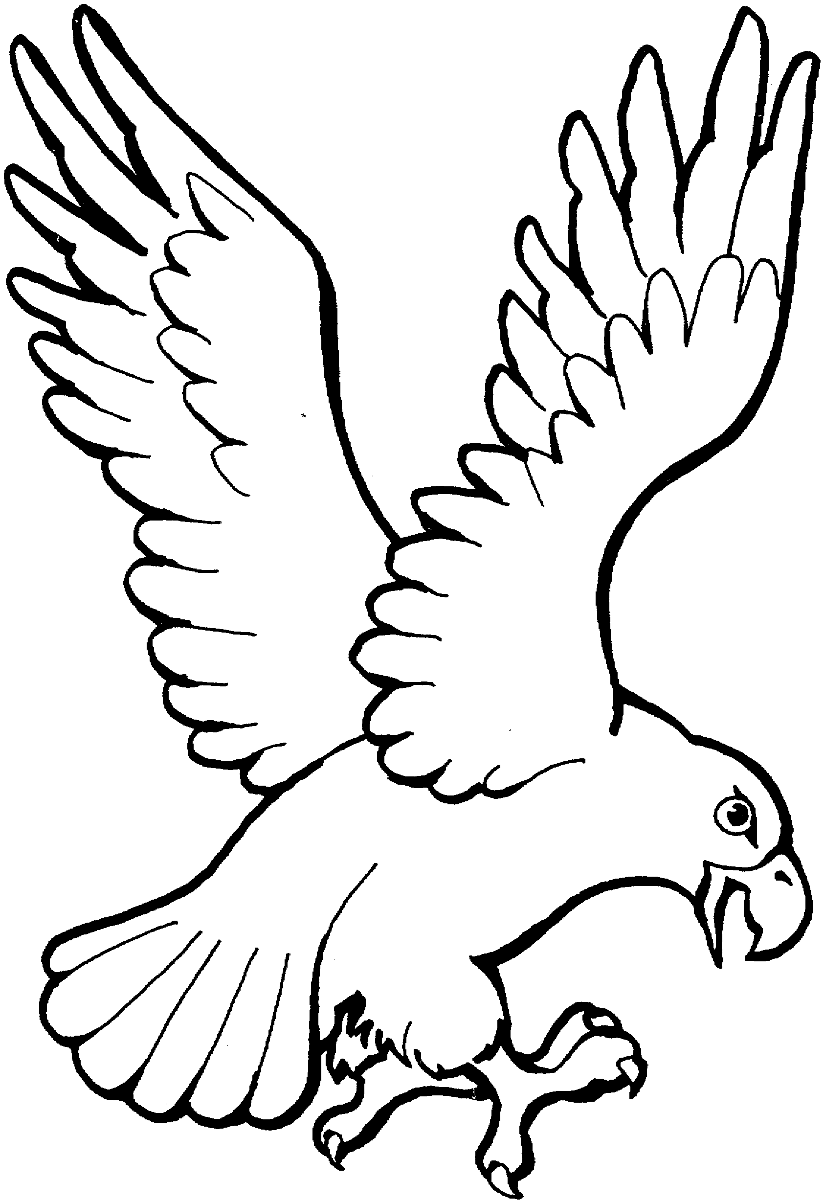 eagle flying coloring pages - photo #8