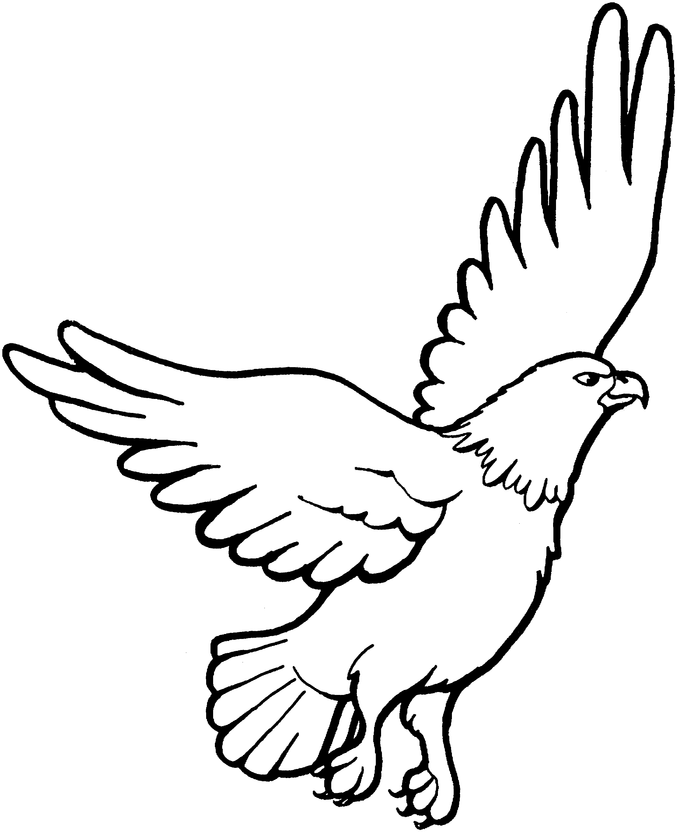 Eagle Coloring Pages - Kidsuki