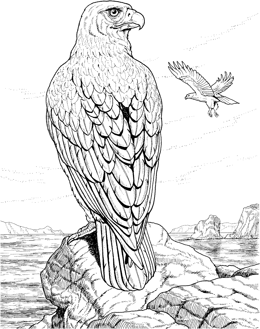 Free Eagle Coloring Pages