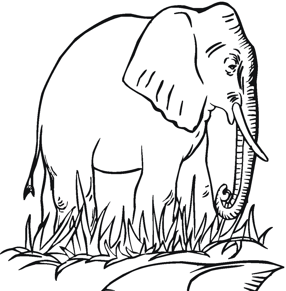 Free Elephant Coloring Pages