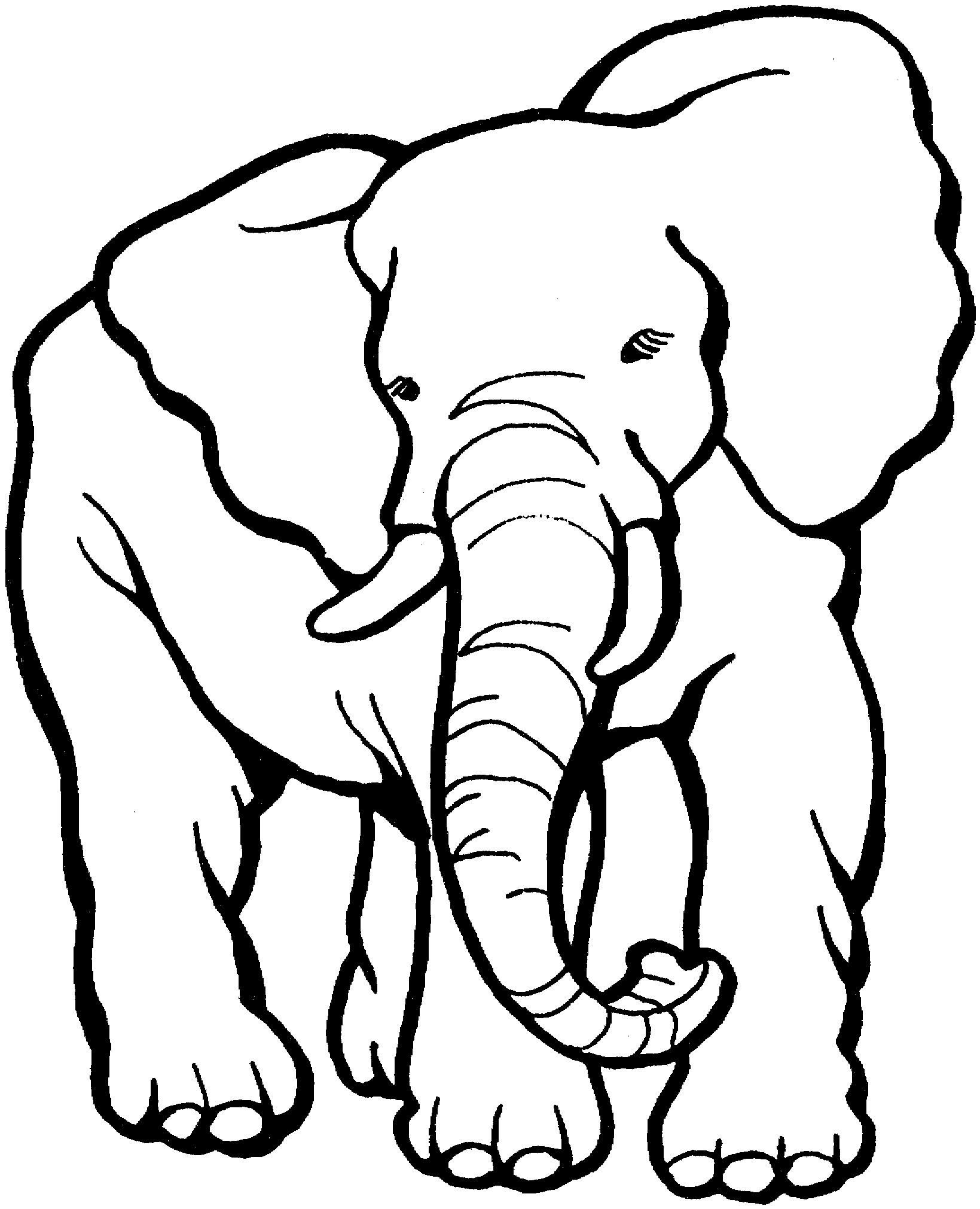 Free Elephant Coloring Pages