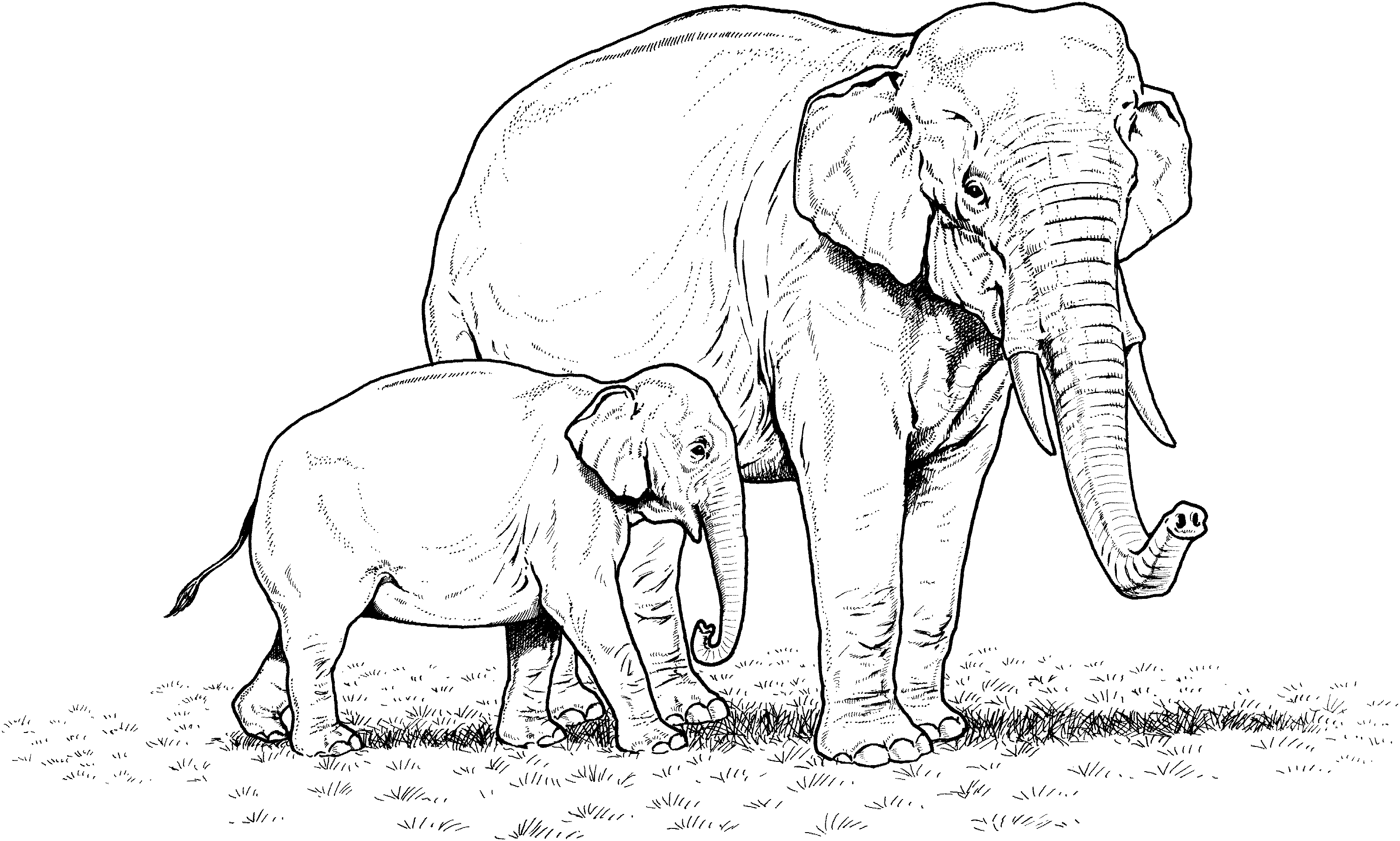 baby indian coloring pages - photo #28