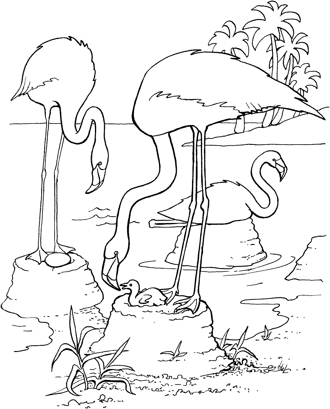free-flamingo-coloring-pages
