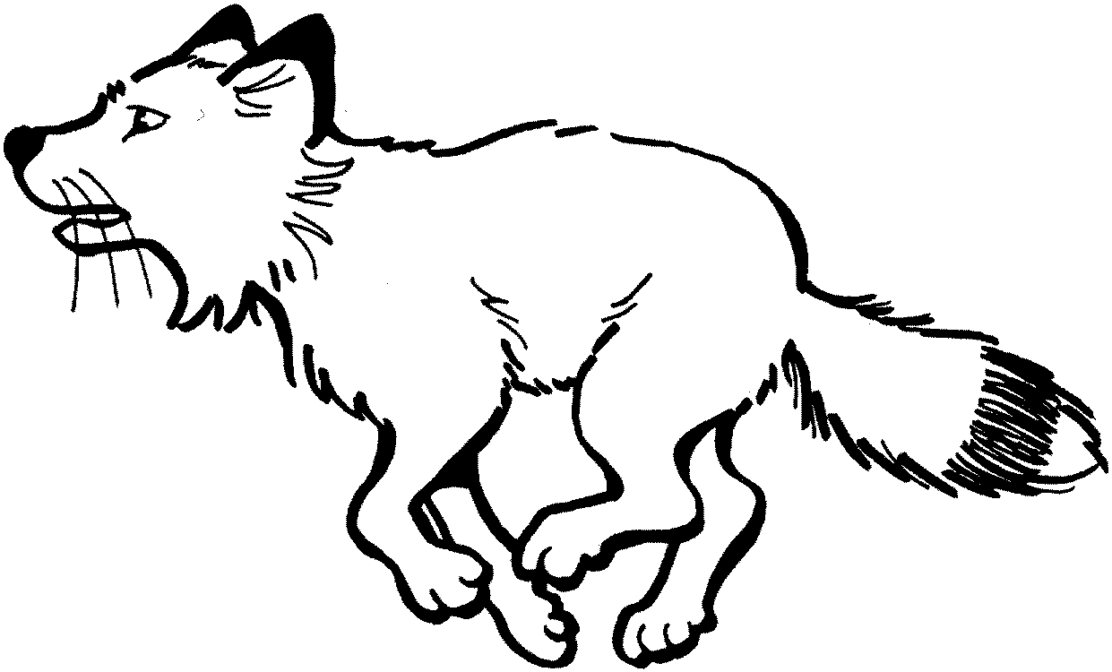 baby arctic fox coloring pages - photo #49