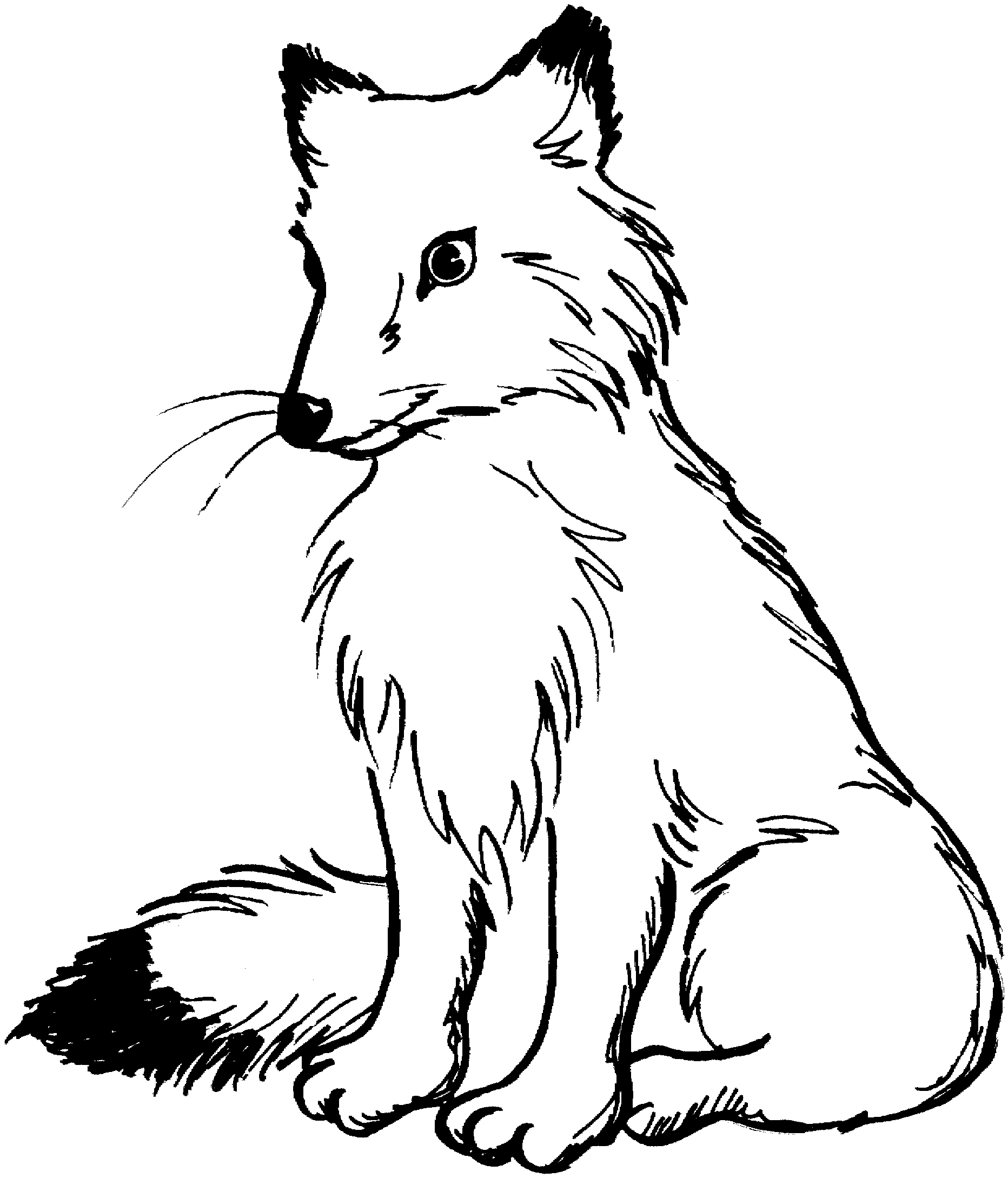 g fox co coloring pages - photo #43