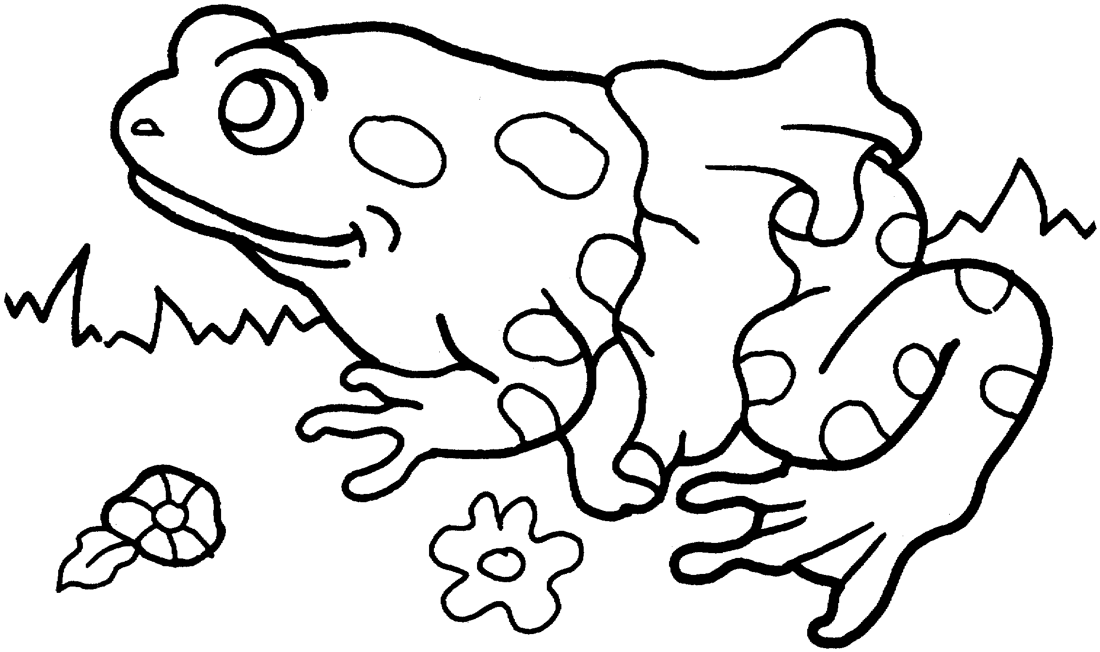 Free Frog Coloring Pages