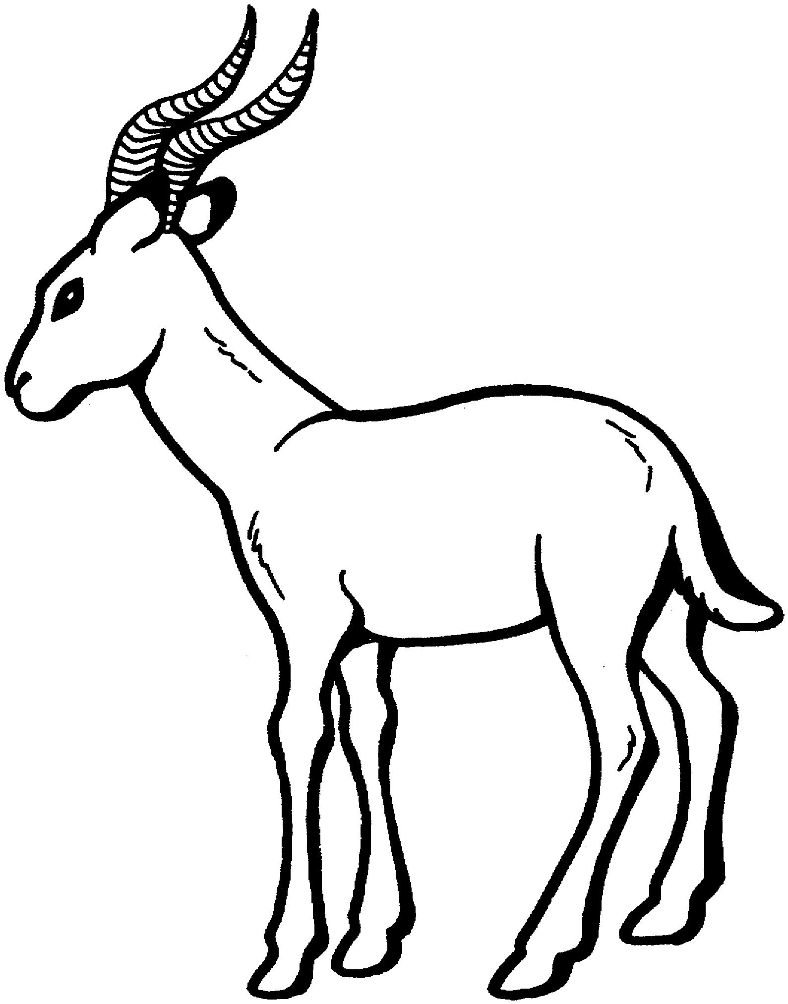 Free Gazelle Coloring Pages