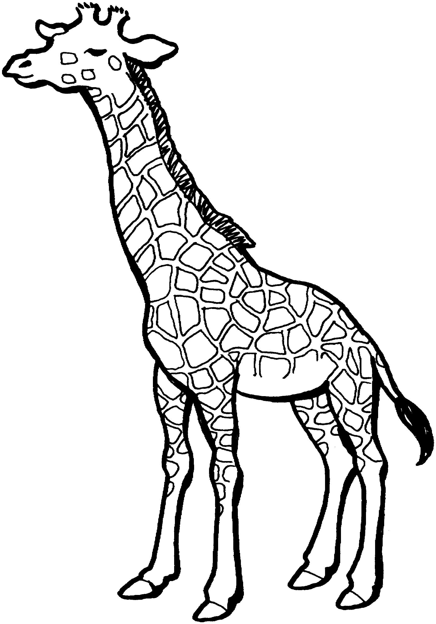 Free Giraffe Coloring Pages