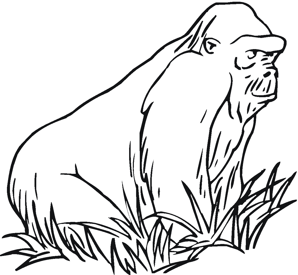 Free Gorilla Coloring Pages