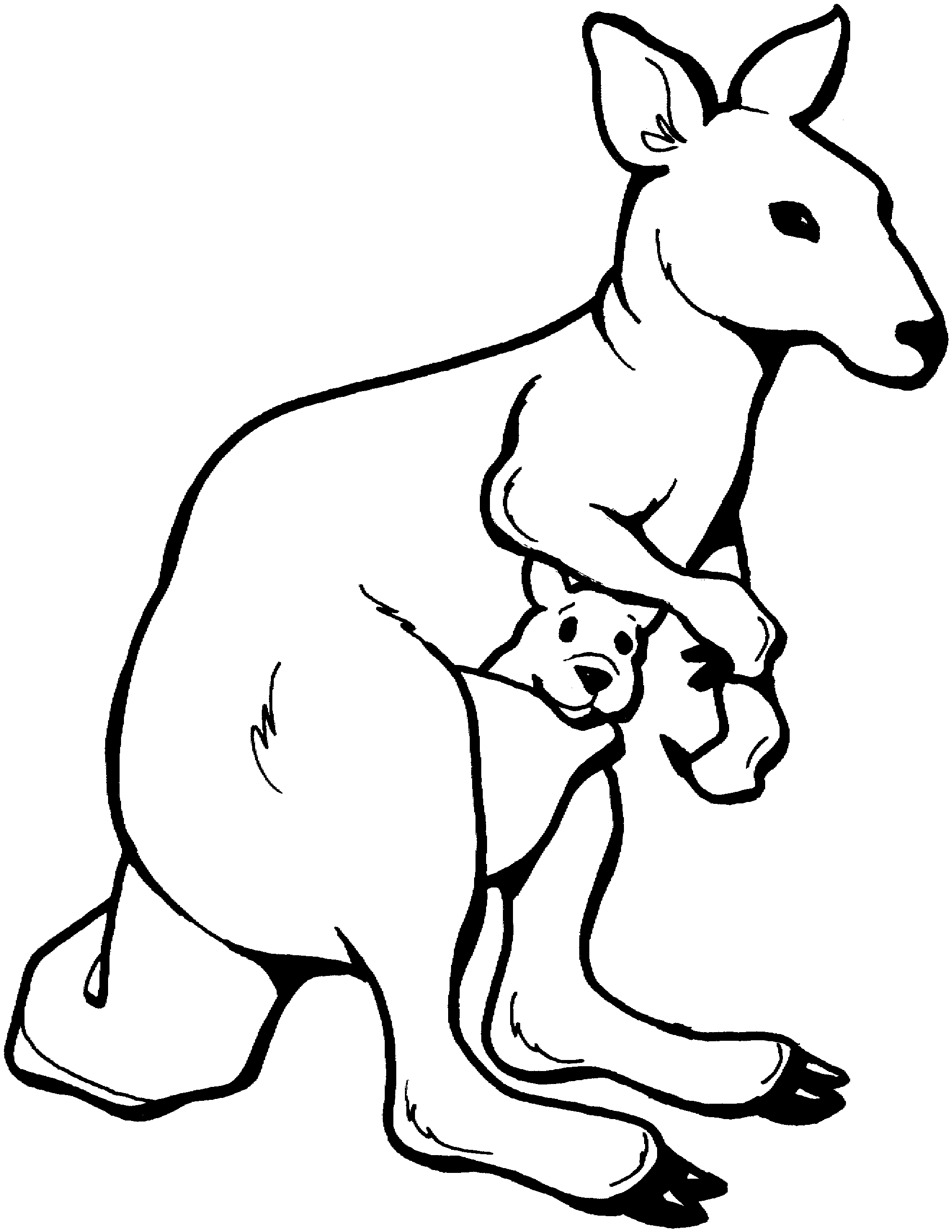 kangaroo coloring pages preschool black - photo #17