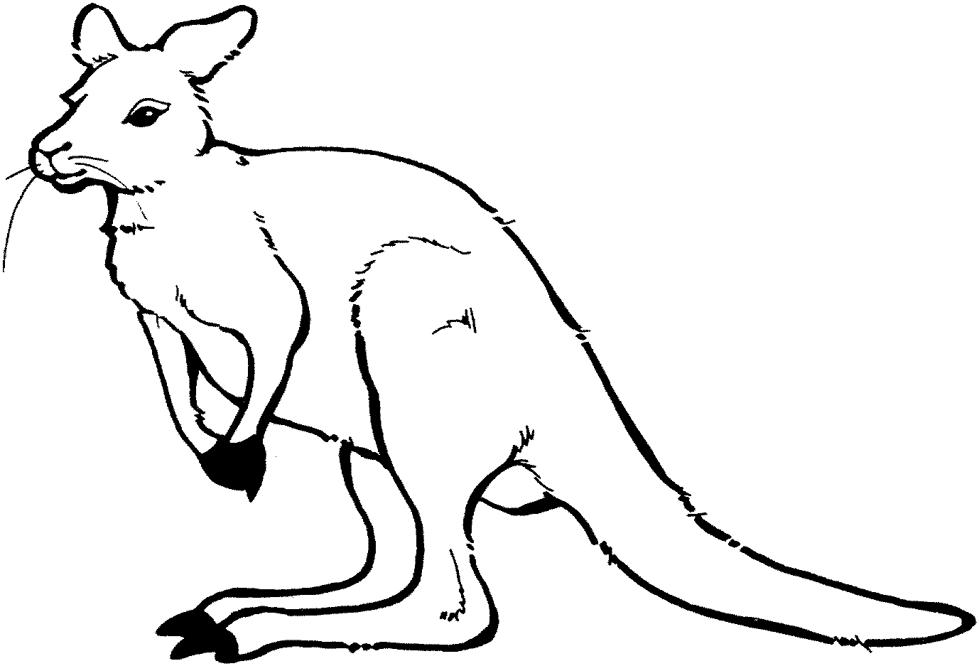 kangaroo clipart black and white - photo #32