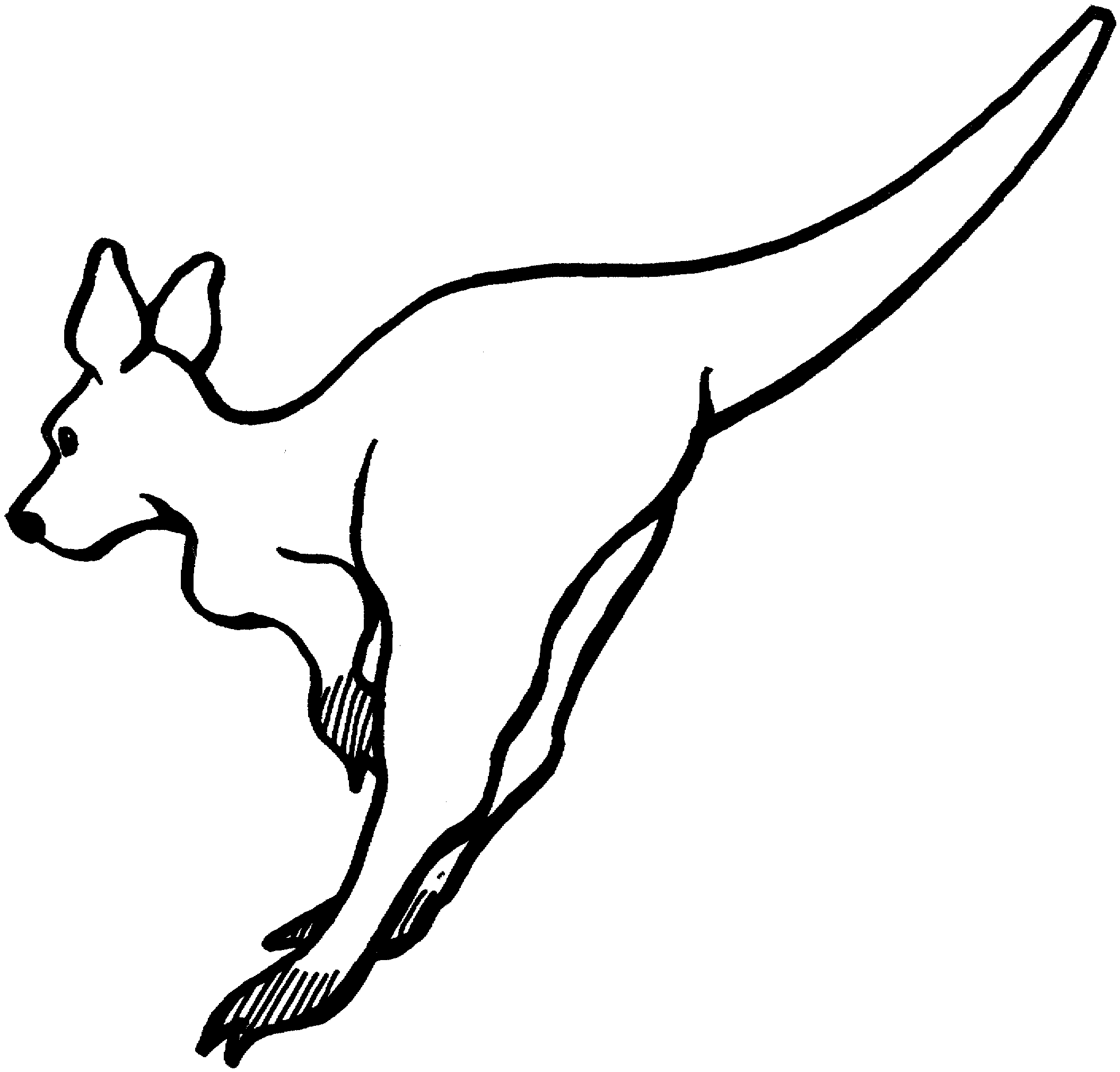 kangaroos coloring pages - photo #31