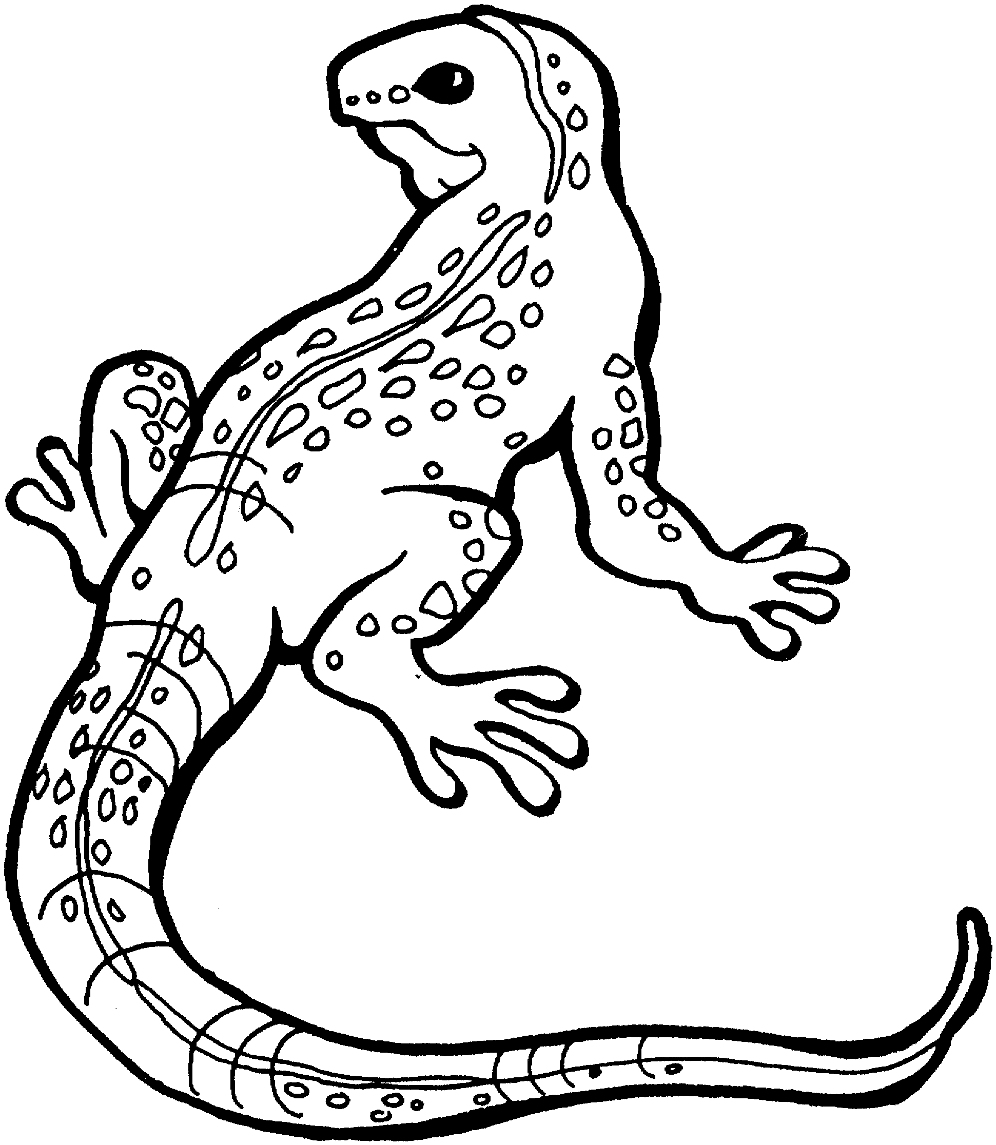 Free Lizard Coloring Pages