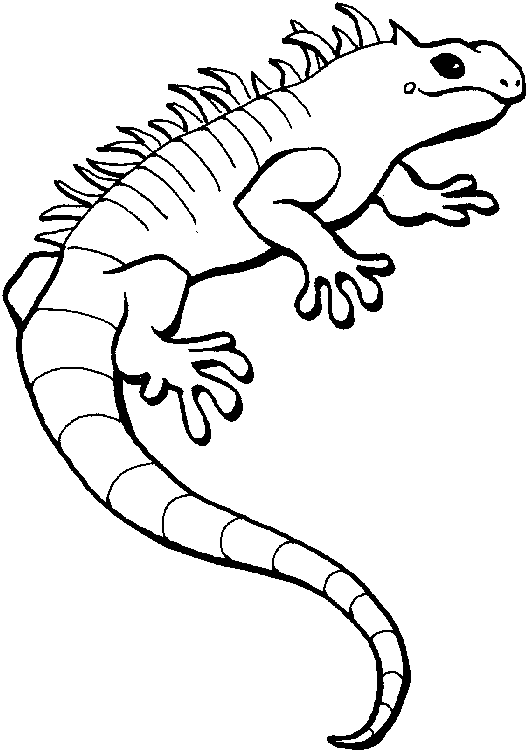 free-lizard-coloring-pages