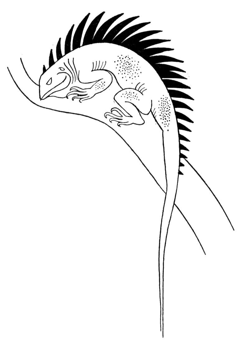 Free Lizard Coloring Pages