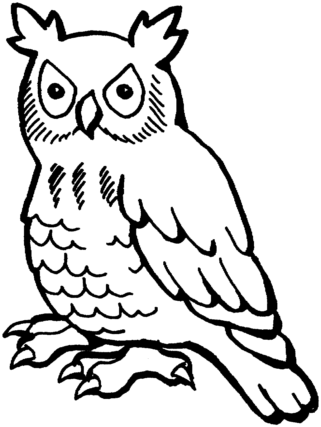 Free Owl Coloring Pages