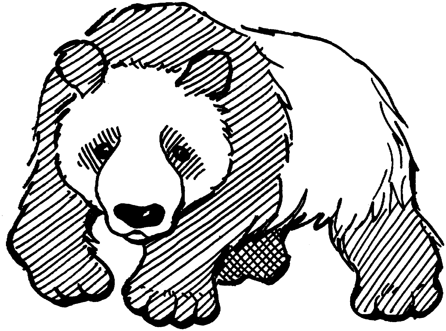 panda bear face coloring pages - photo #25