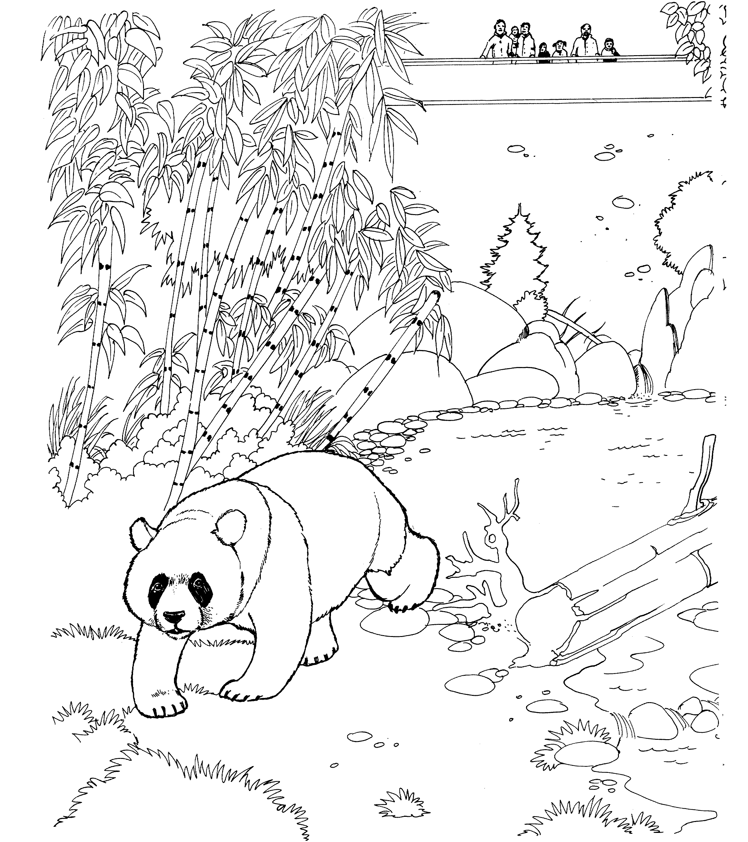 panda care bear coloring pages - photo #32