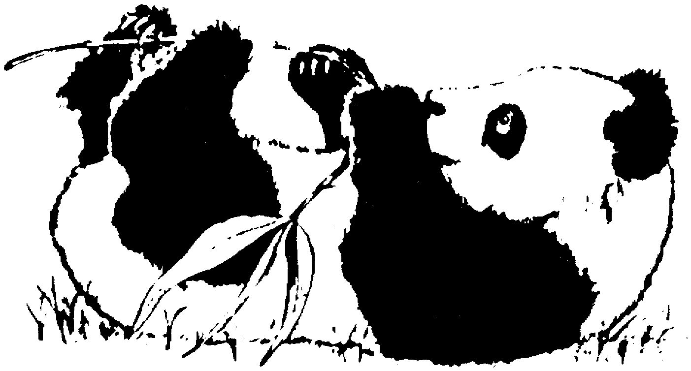 panda online coloring pages - photo #34