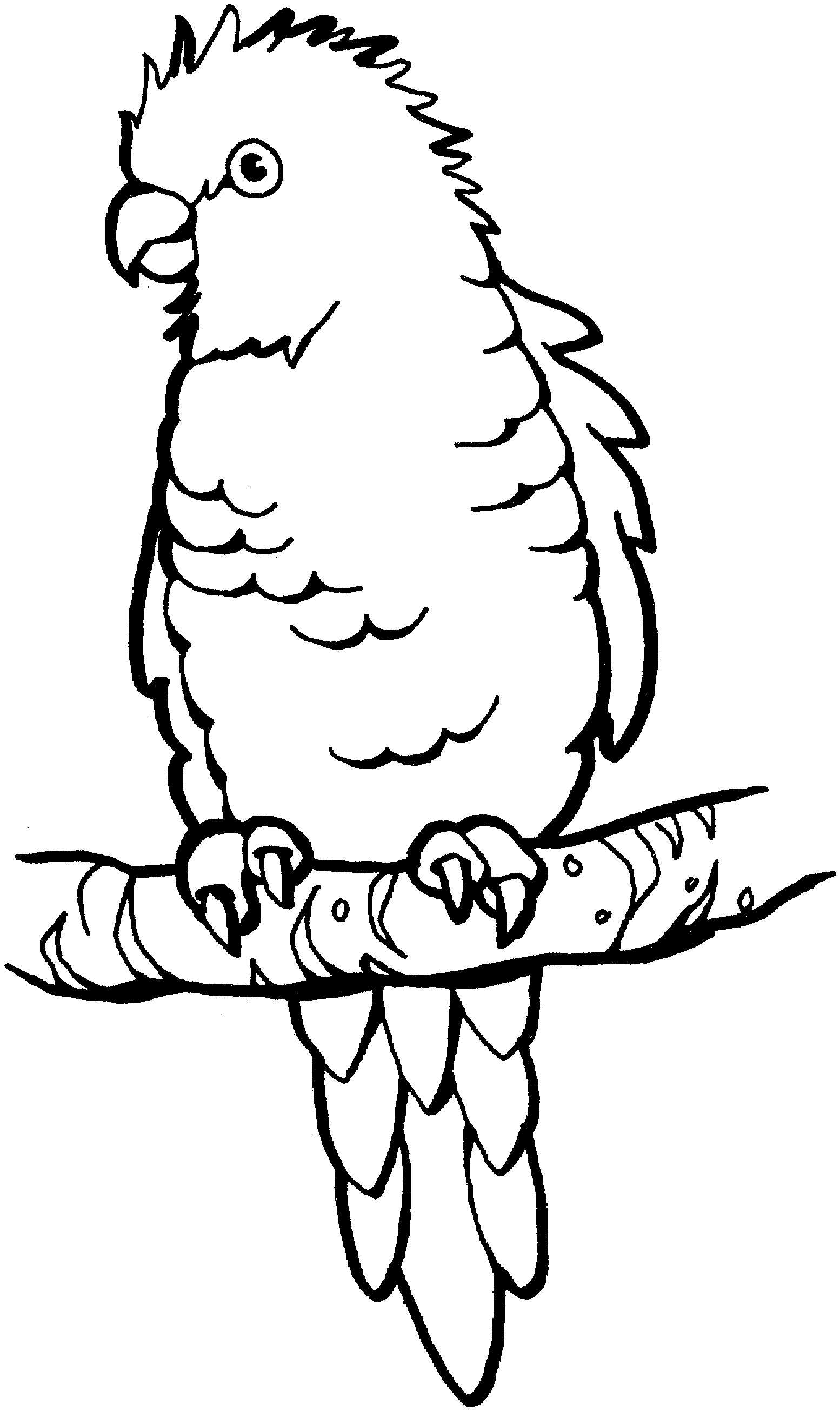 free-parrot-and-macaw-coloring-pages