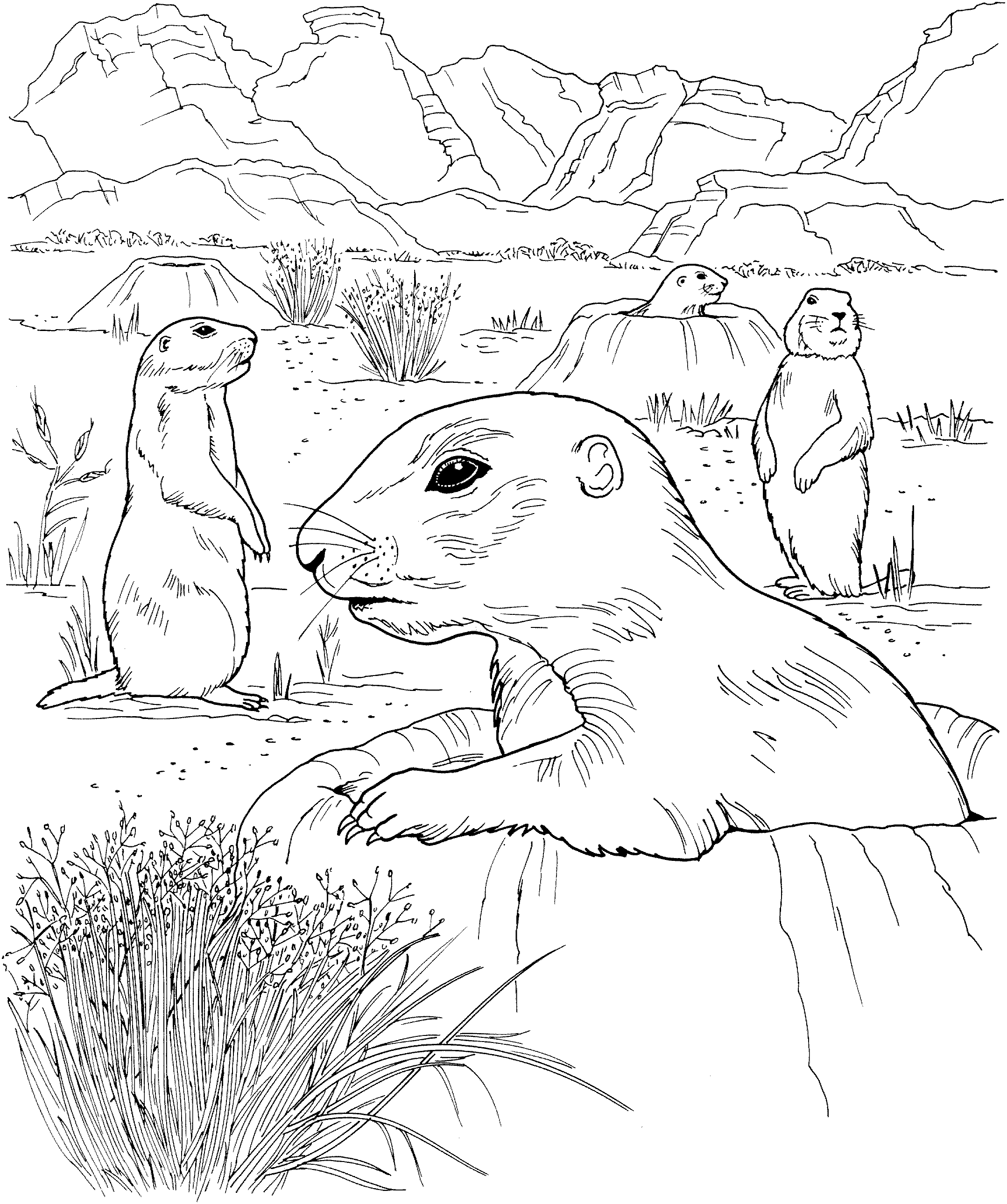trail of tears coloring pages - photo #10