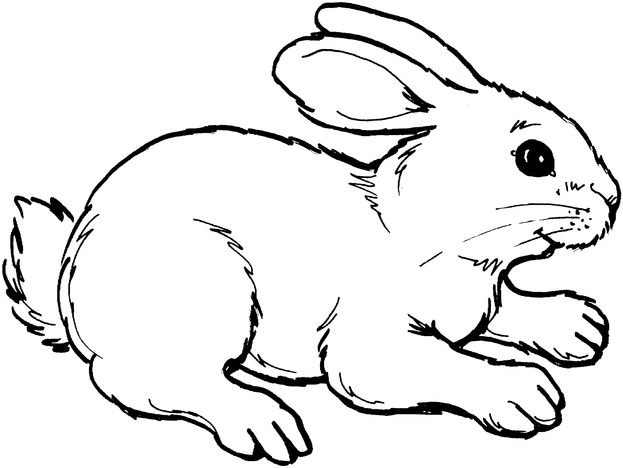 free rabbit clipart black white - photo #17