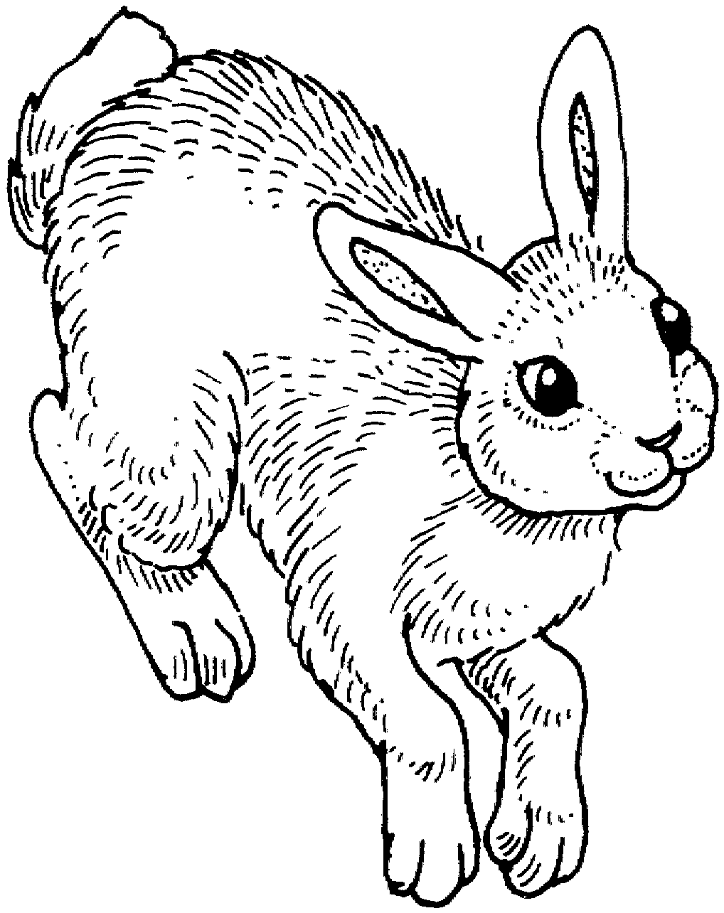 Bunny Rabbit Coloring Page That are Monster | Tristan Website