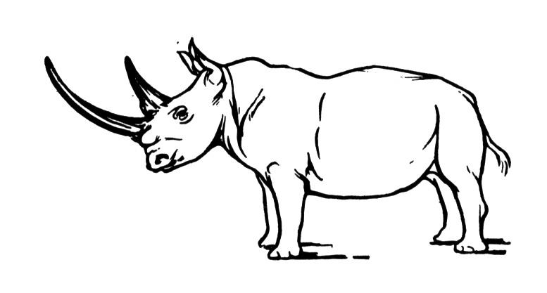 Rhinoceros Coloring Pages - Kidsuki