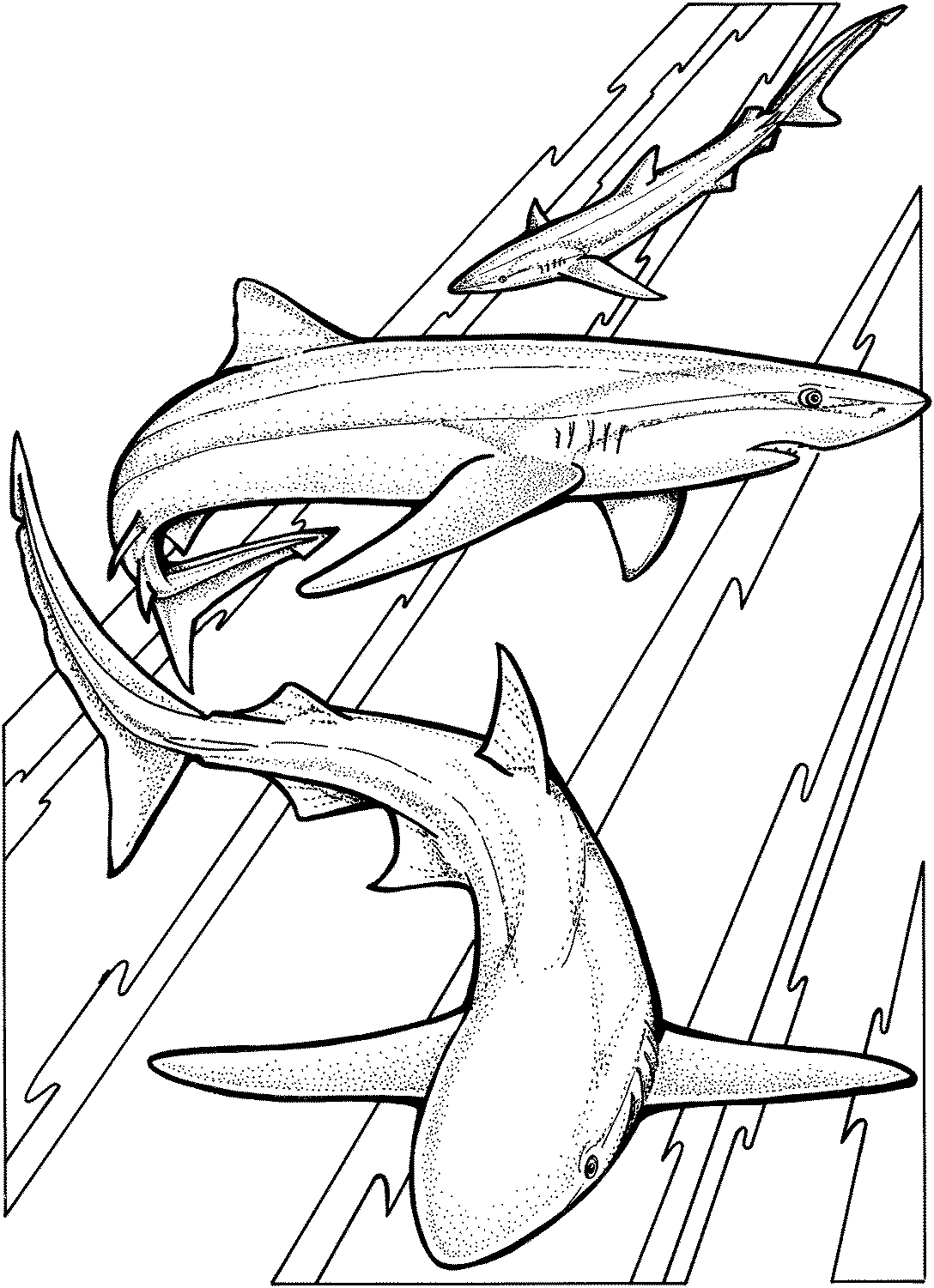 Free Shark Coloring Pages