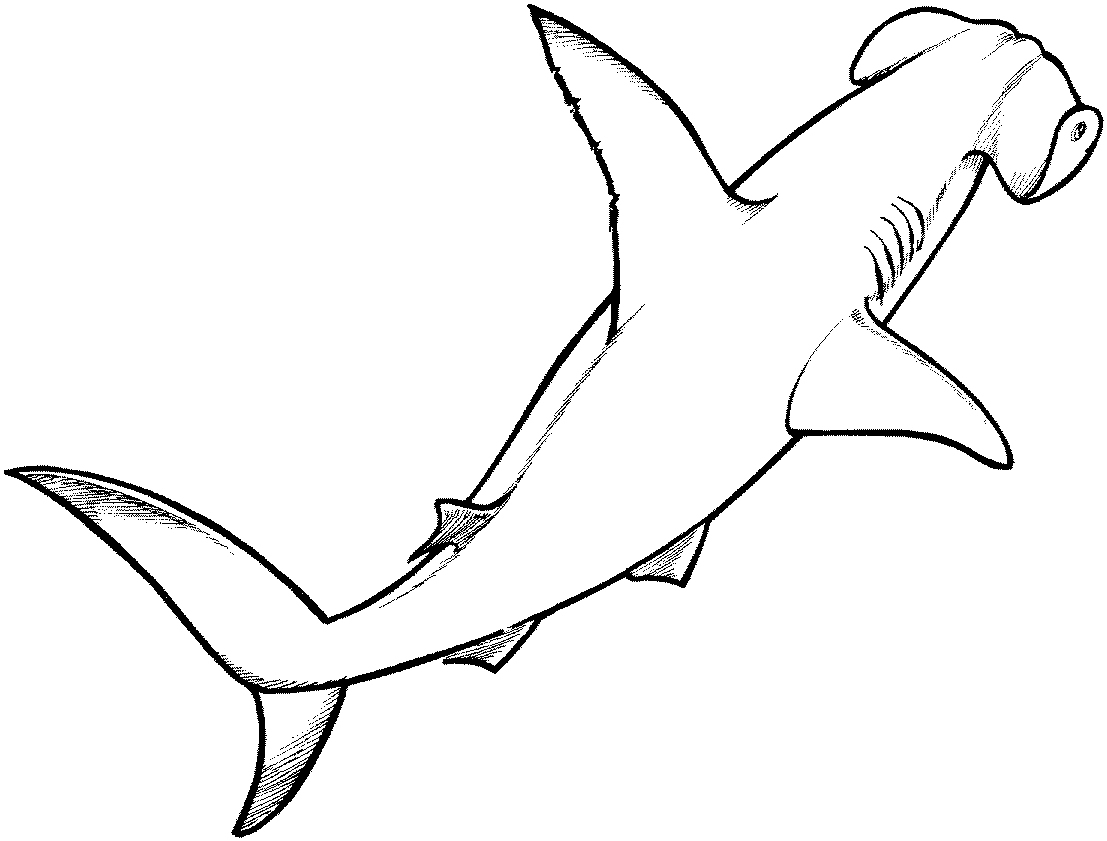 Free Shark Coloring Pages