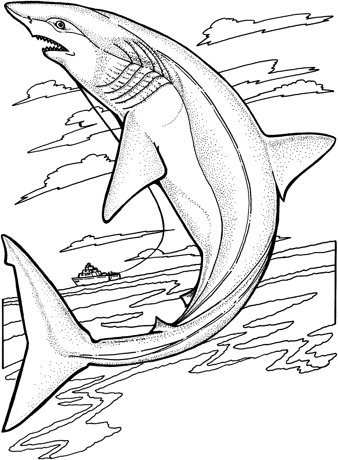 Free Shark Coloring Pages