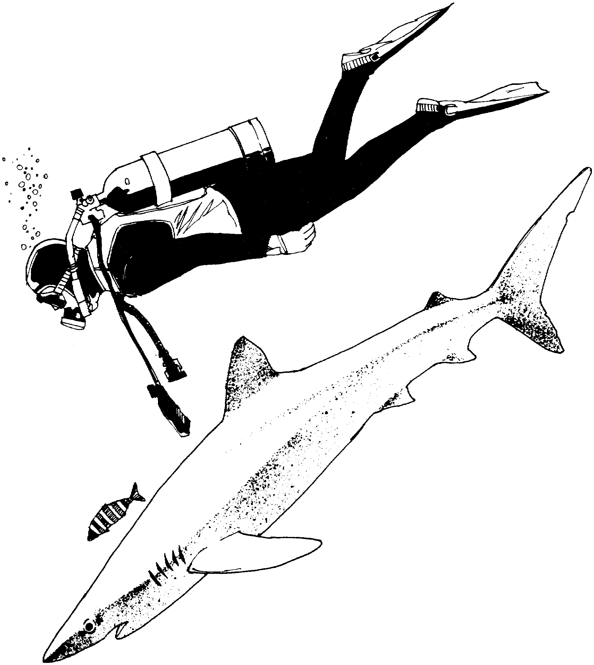 underwater diver coloring pages - photo #31