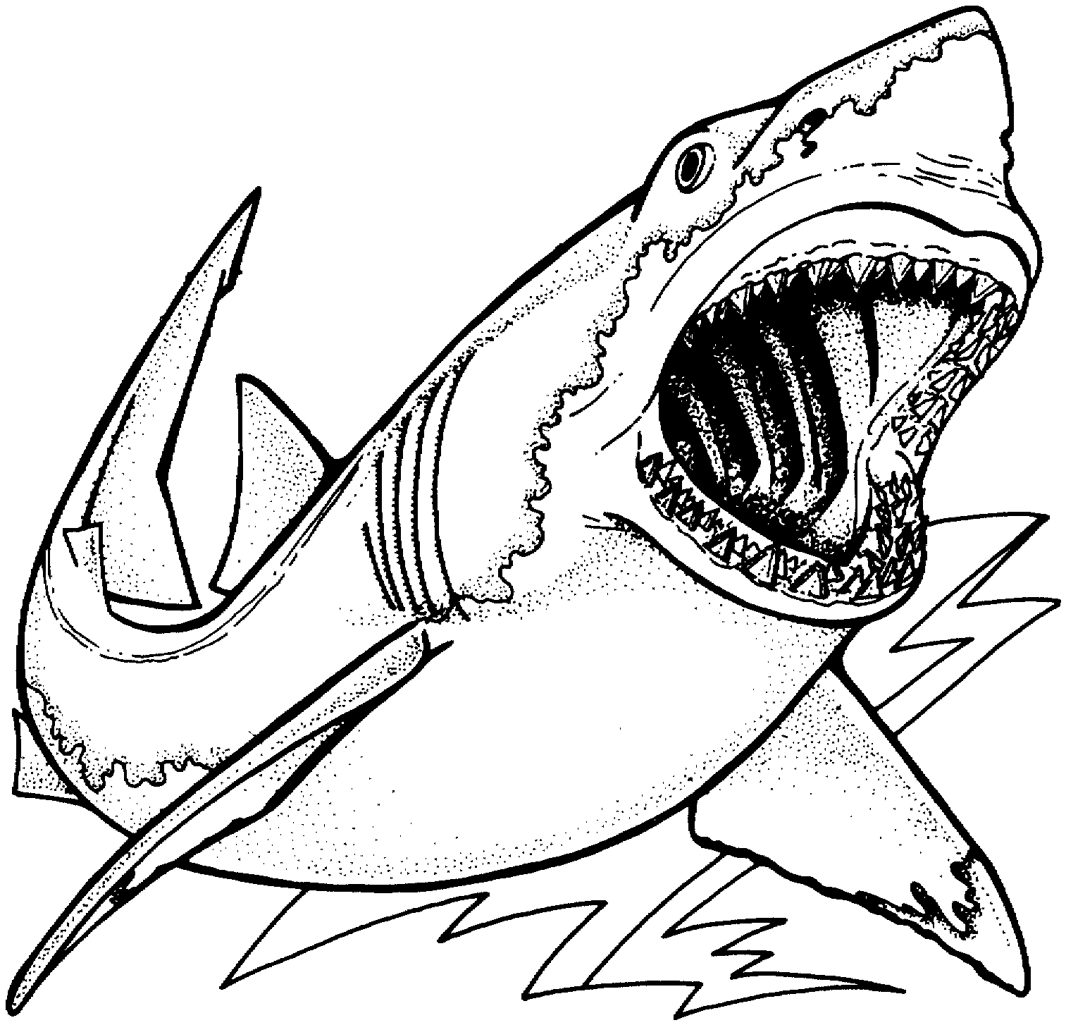 Free Printable Shark Coloring Pages For Kids Shark Coloring Pages Ocean Coloring Pages Coloring Pages For Kids