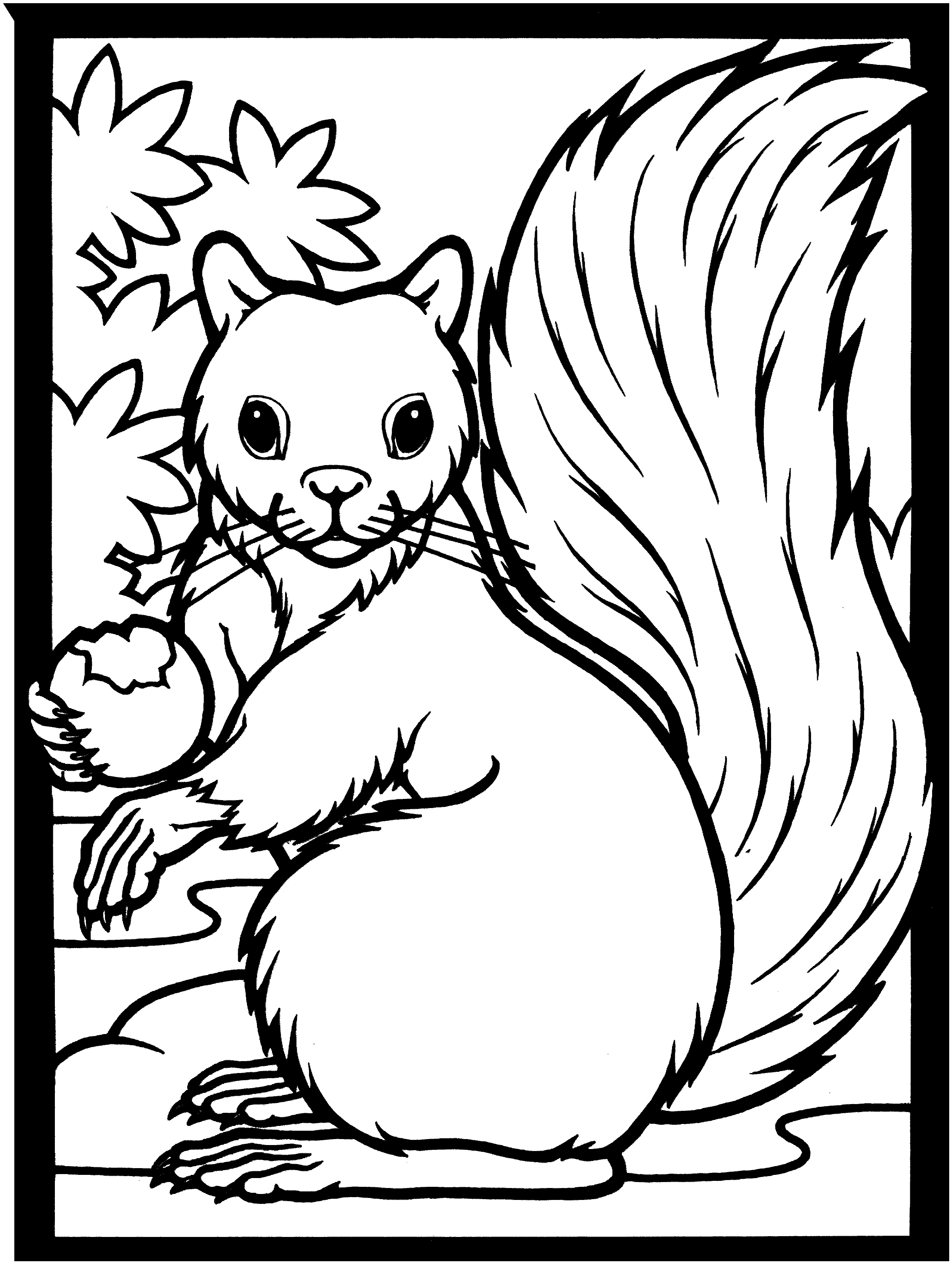 Free Squirrel Coloring Pages Free Squirrel Coloring Pages