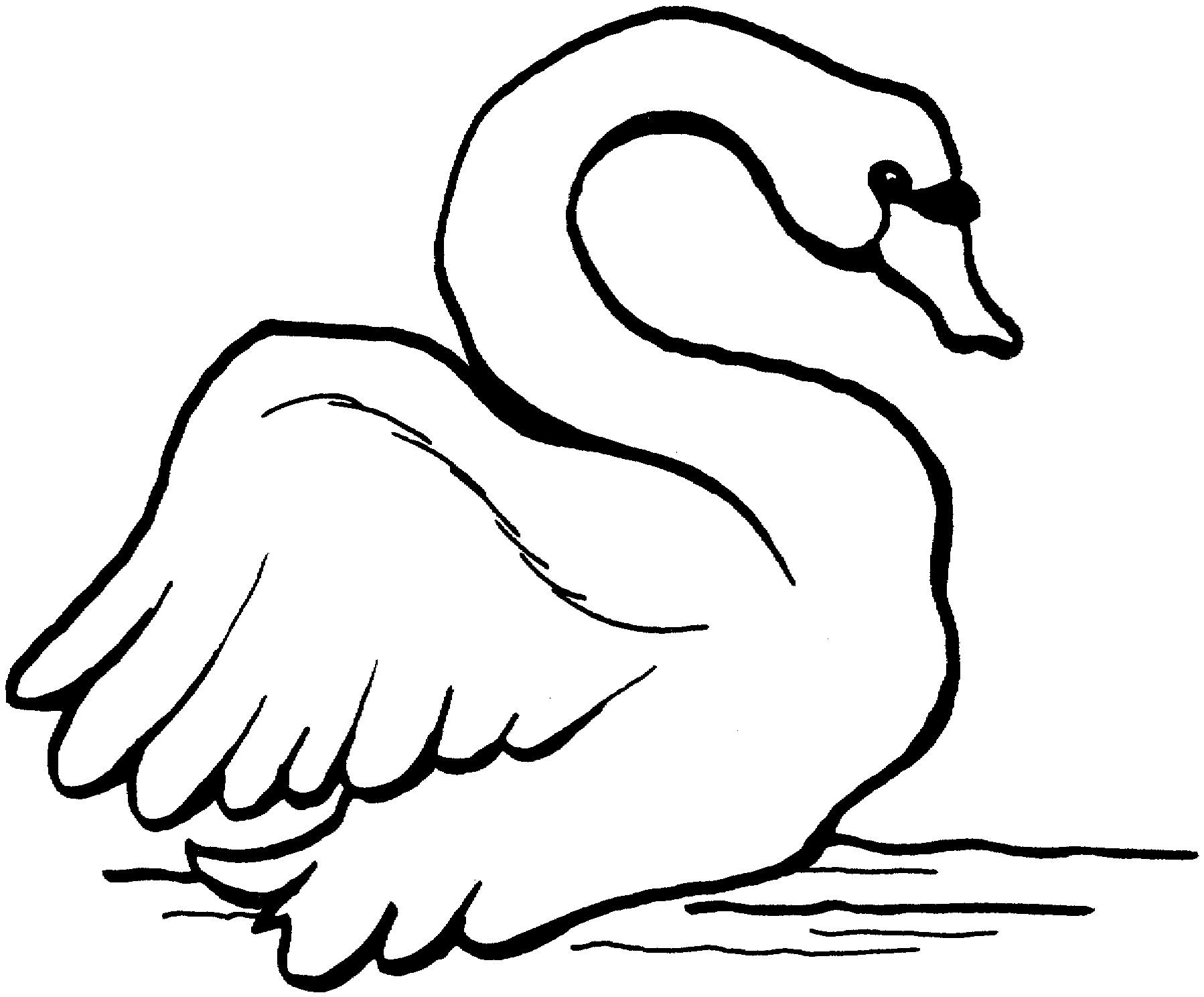 free-swan-coloring-pages
