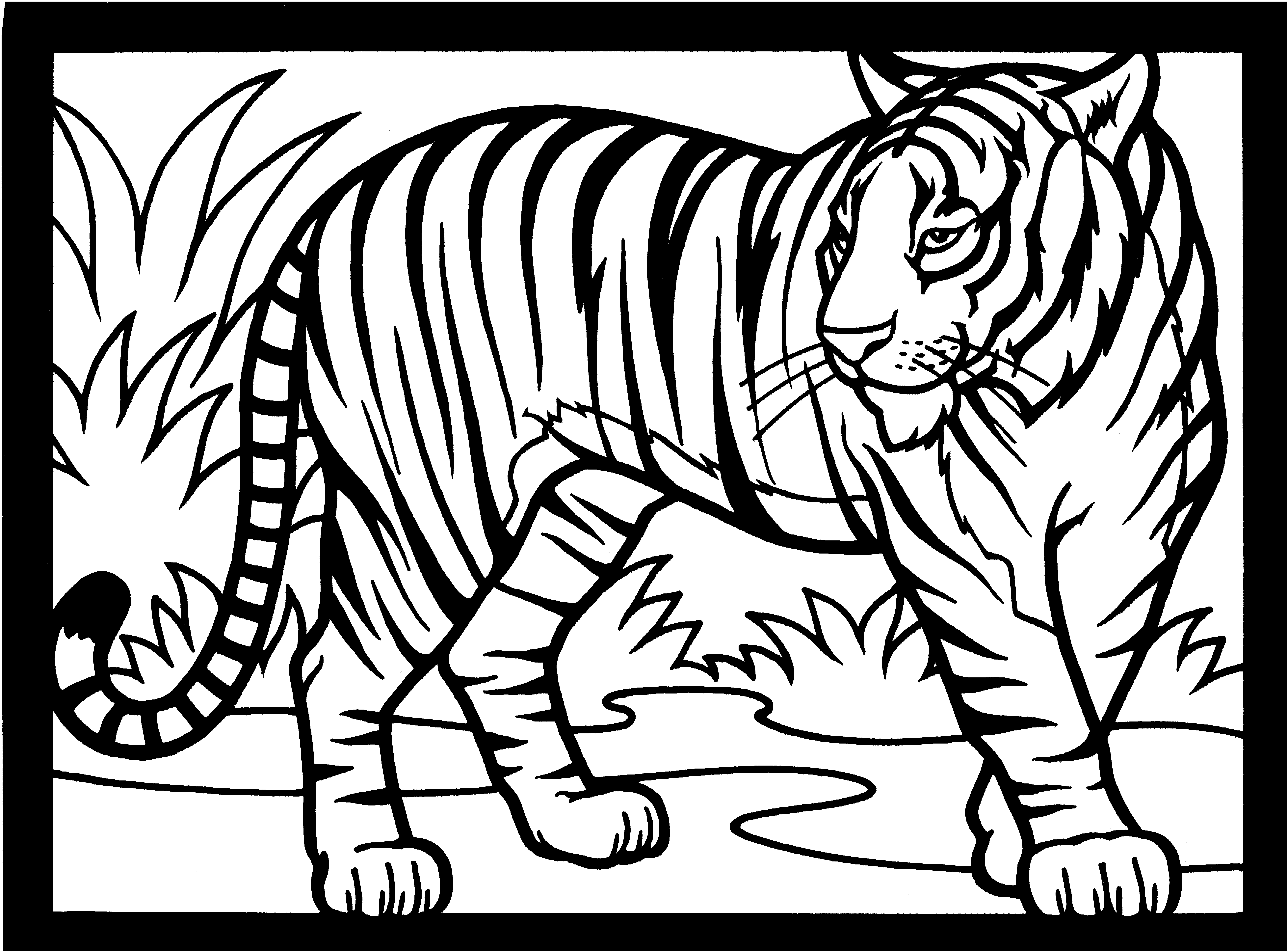 Tiger Coloring Pages Free Printable Tiger Coloring Pages Free Printable