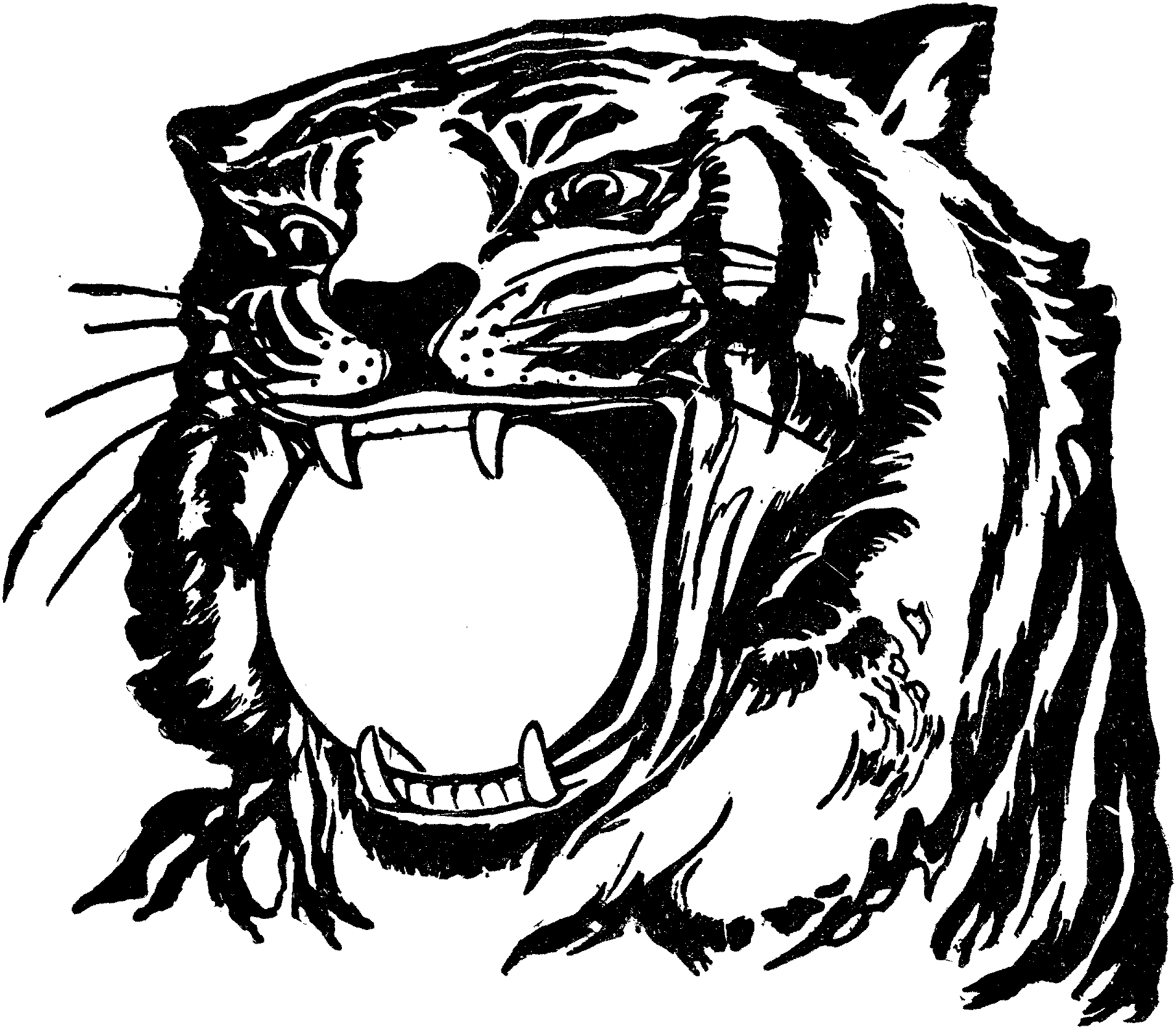malvorlagen tiger  28 images  best tiger coloring page