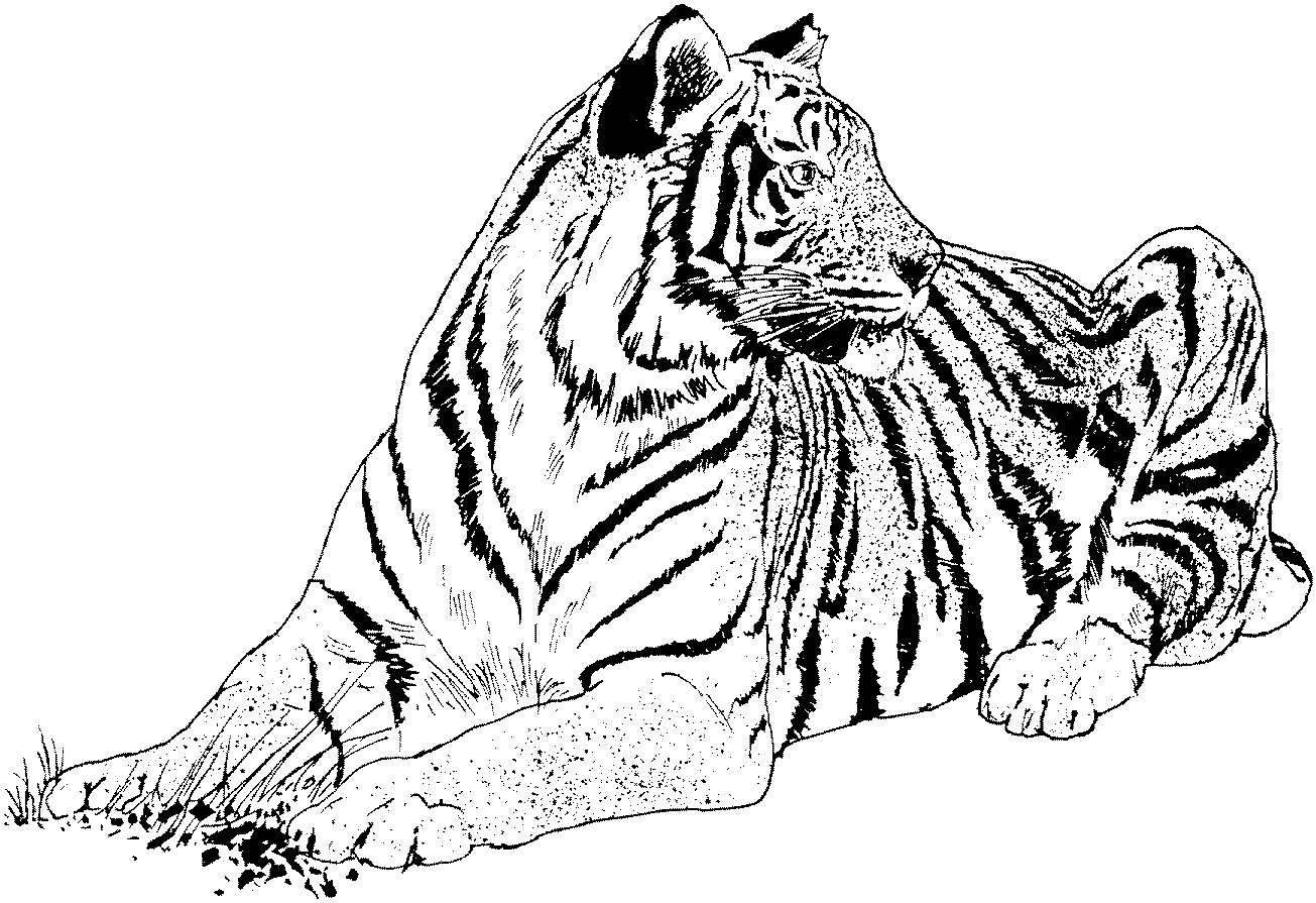 free-tiger-coloring-pages