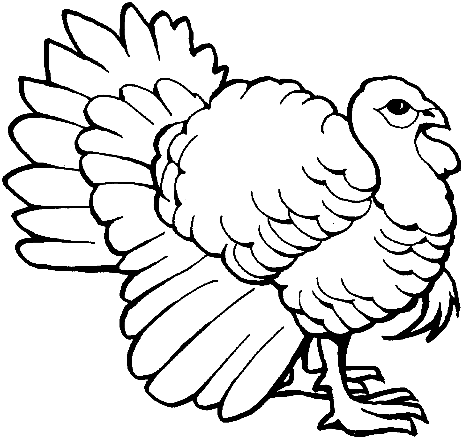 Free Printable Coloring Picture Of A Turkey