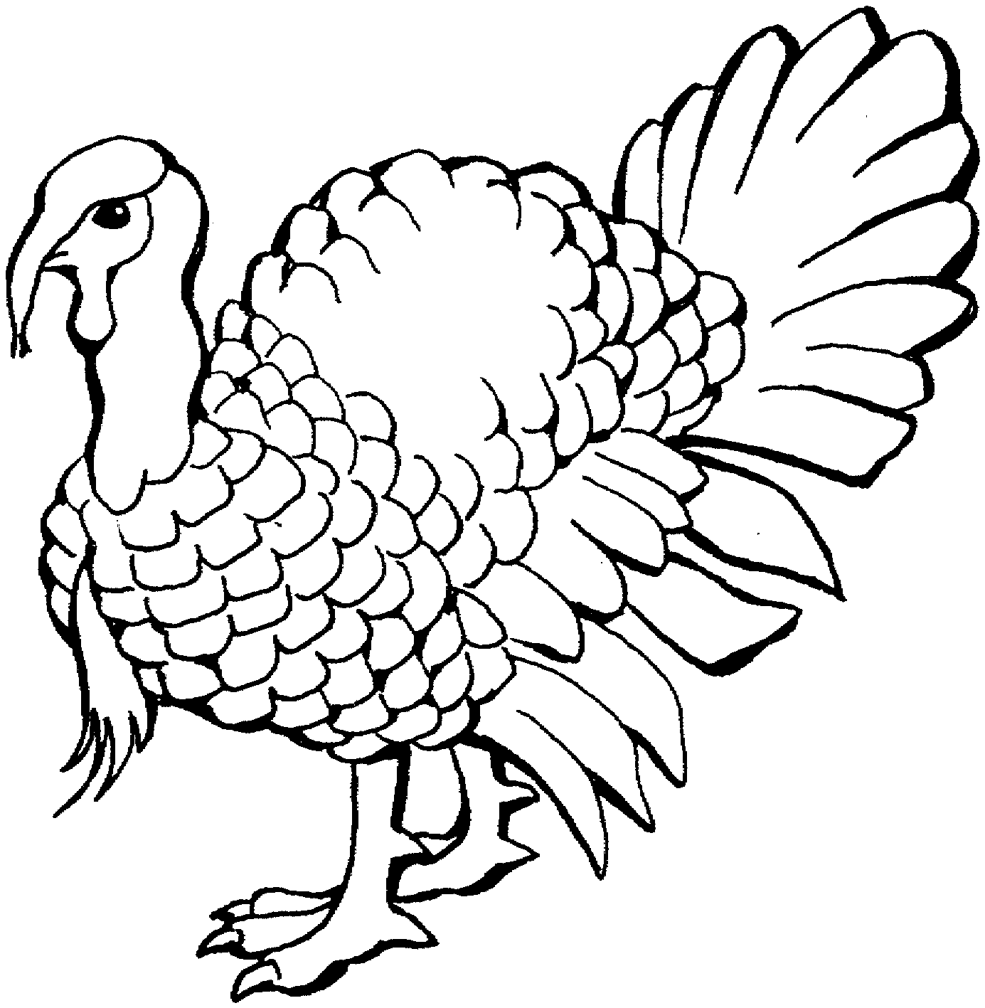 black throated gray turkey coloring pages