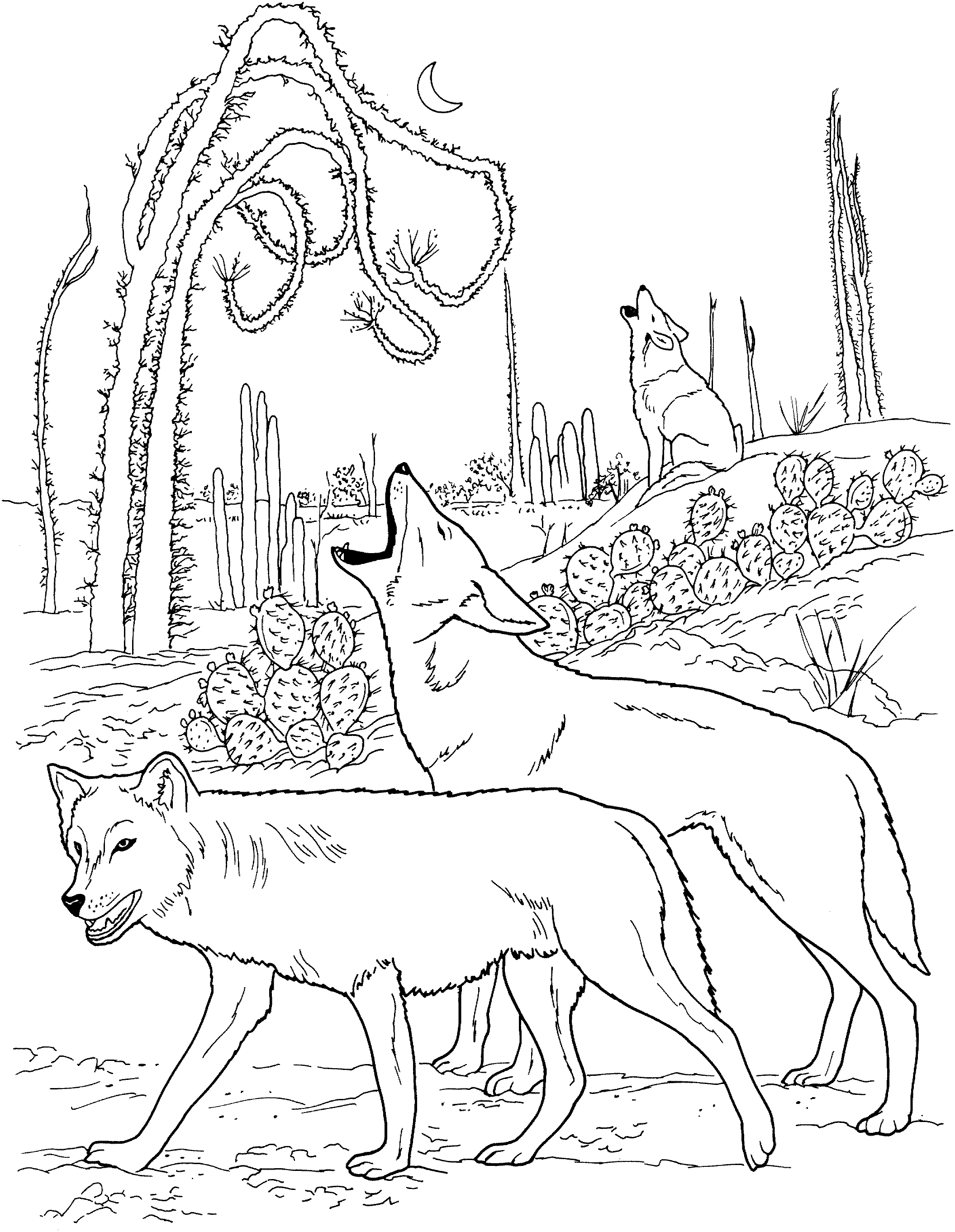 free-wolf-coloring-pages