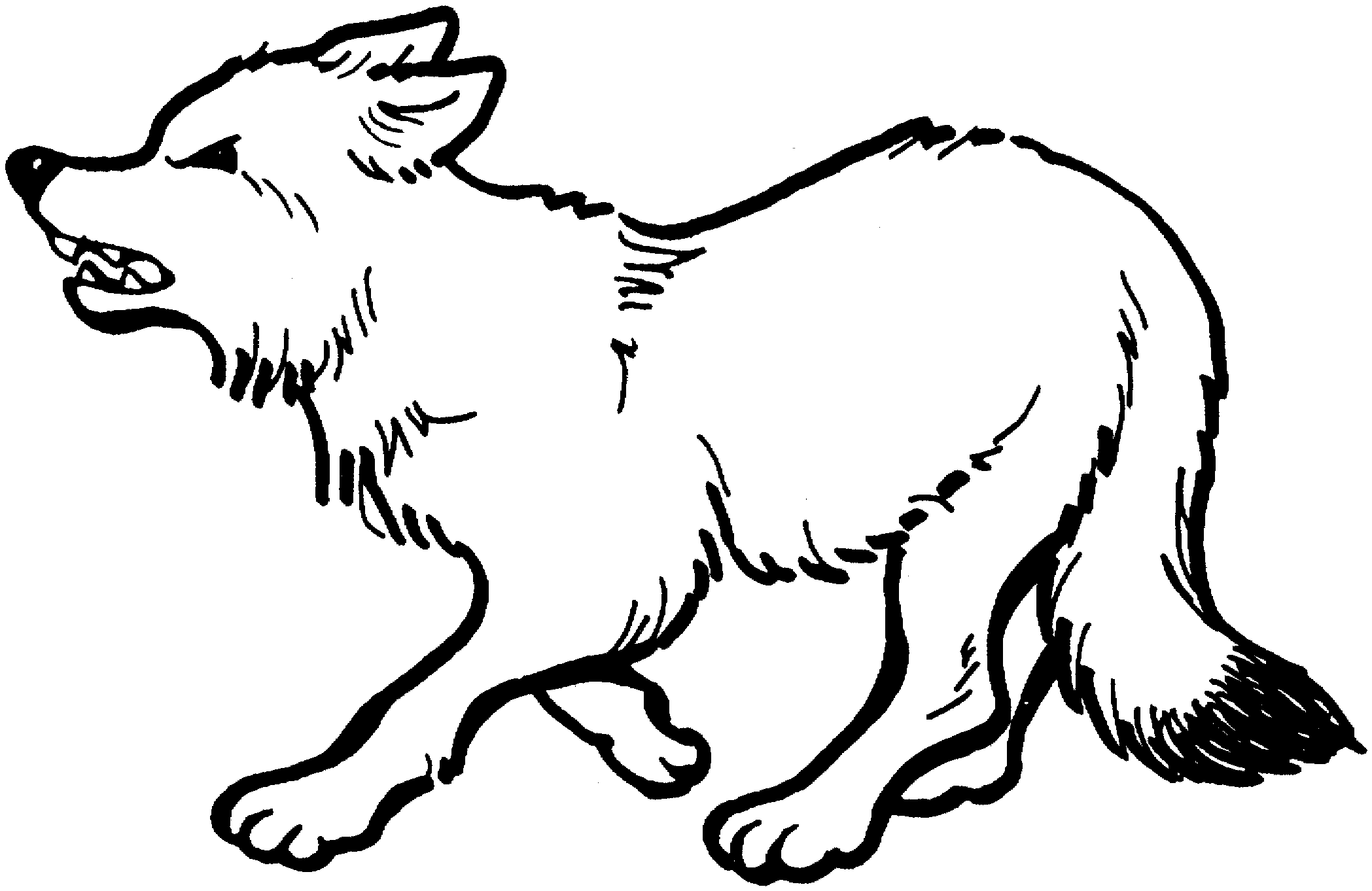 Free Wolf Coloring Pages