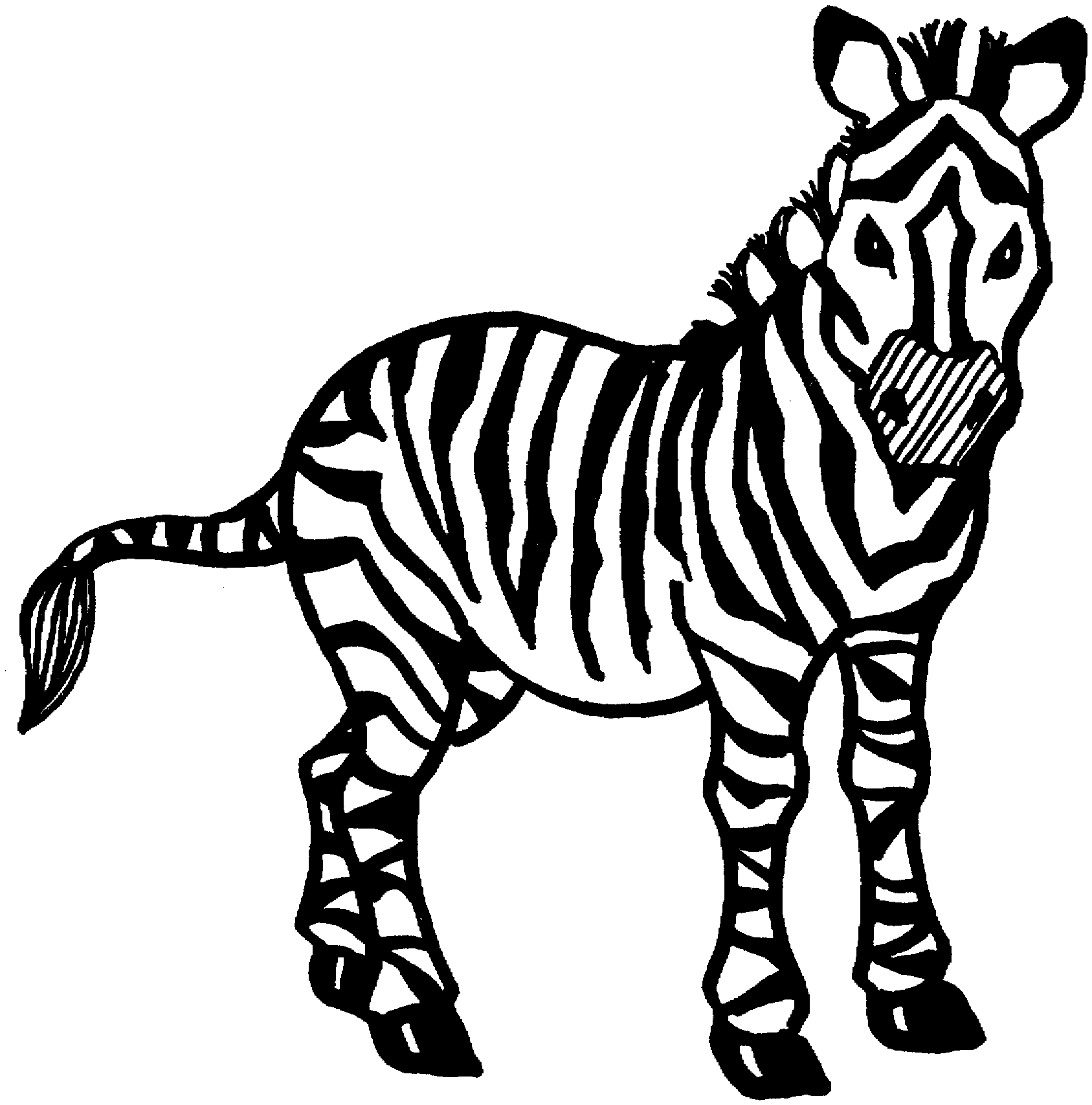 zebra coloring pages free - photo #14