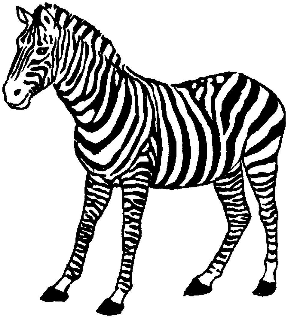 zebra coloring pages - photo #33