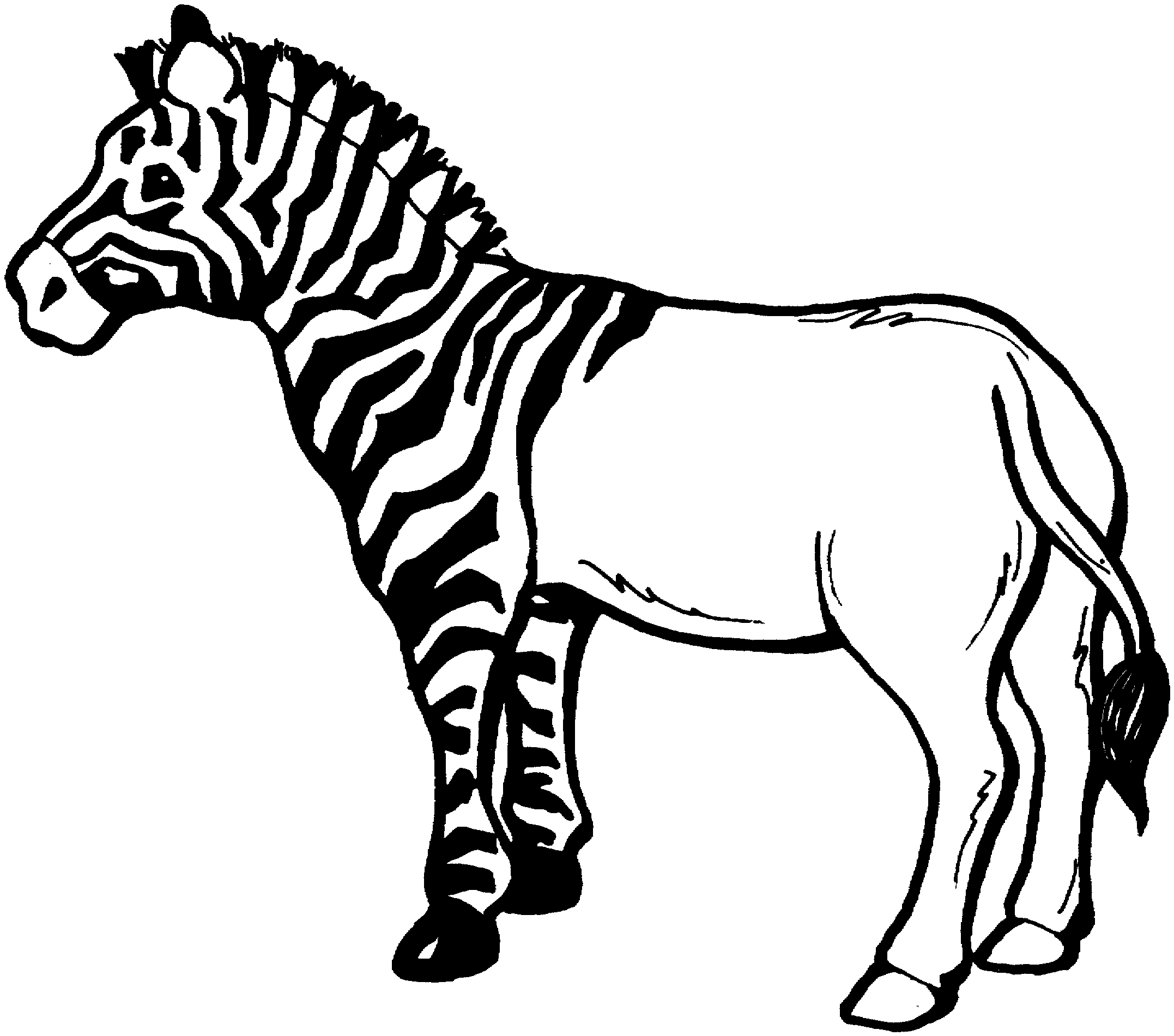 zebra coloring pages without stripes - photo #4