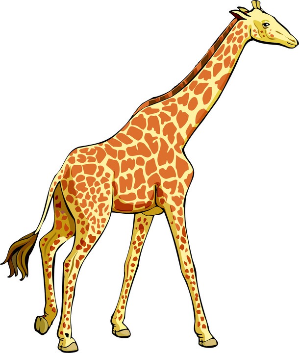 Free Giraffe Clipart