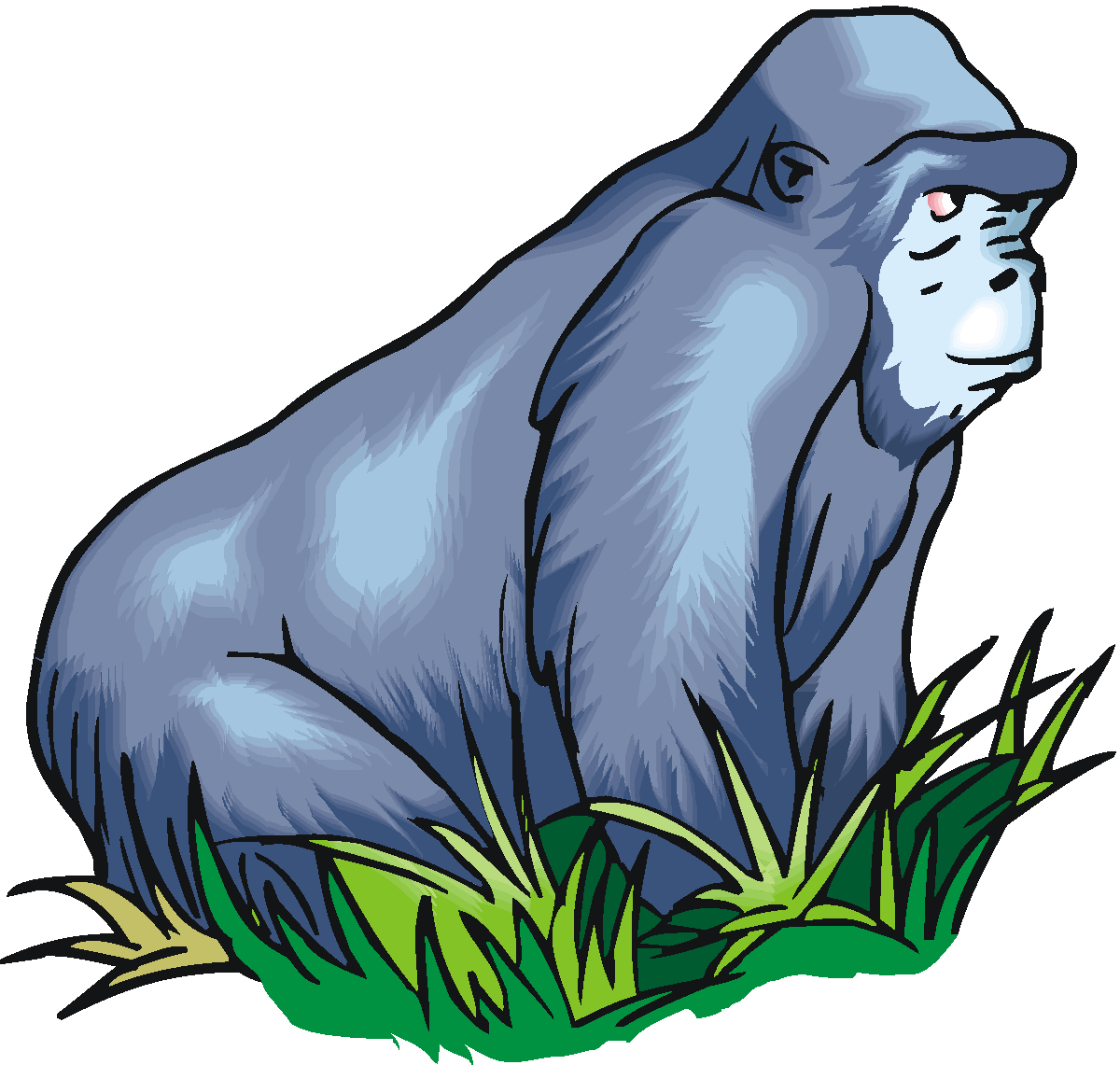 Clipart Gorilla